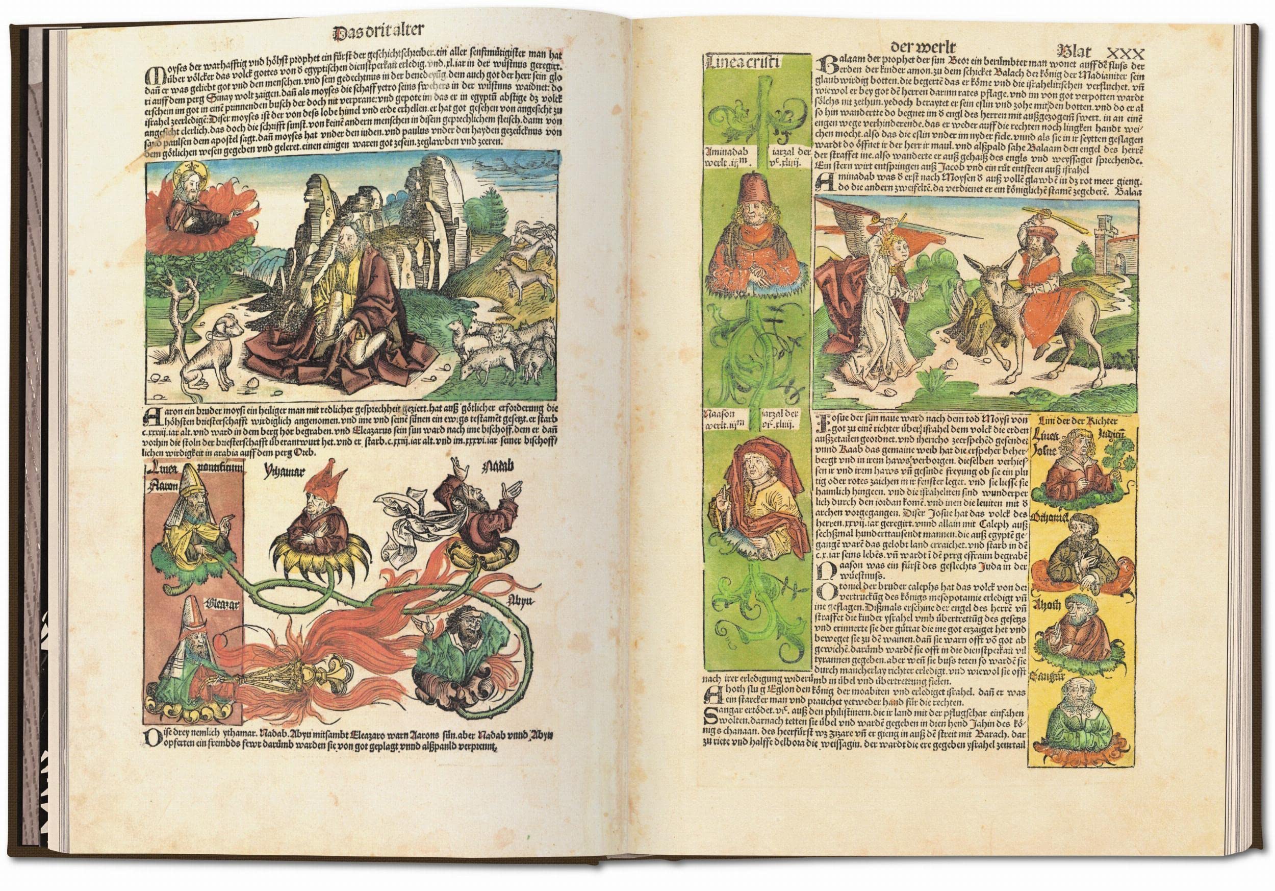 Schedel. Weltchronik - 1493. Kolorierte Gesamtausgabe: Kolorierte Gesamtausgabe. Begleitheft: Das Buch der Chroniken