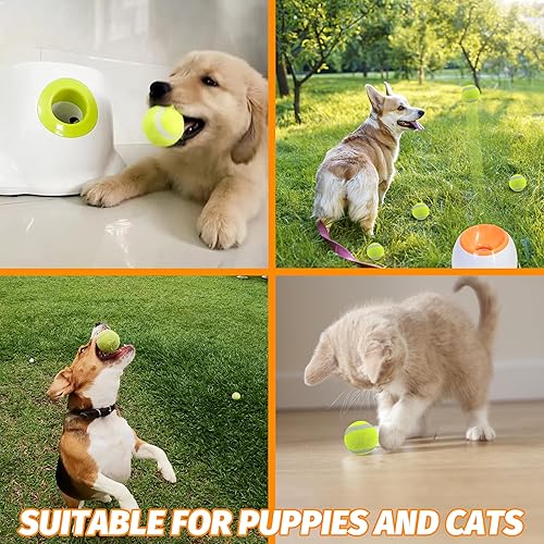 Miniatura 4 de Pelotas de tenis para perros XS Pelota de juguetes para perros de 1.5 pulgadas, paquete de 12, lanzadores de bolas de ajuste