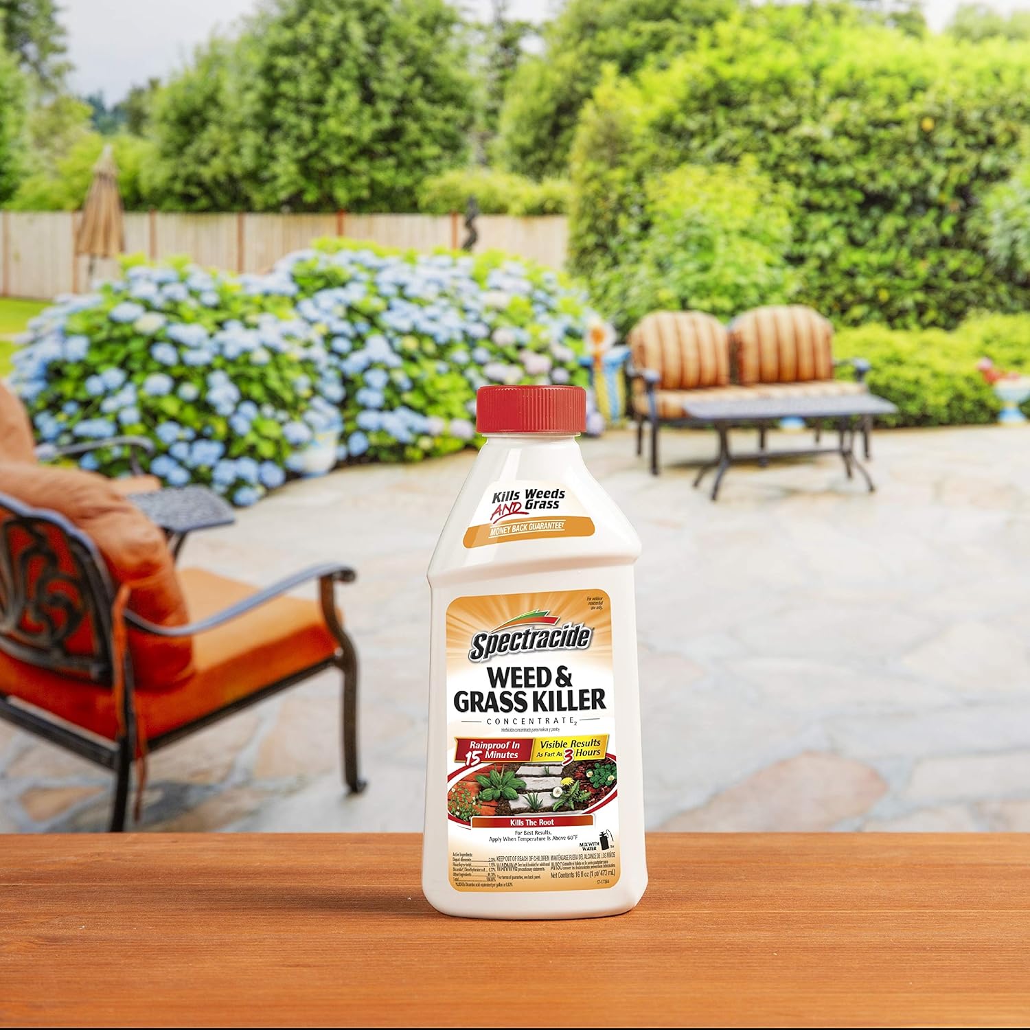 Spectracide HG- Concentrado para matar hierba y malas hierbas , paquete ...