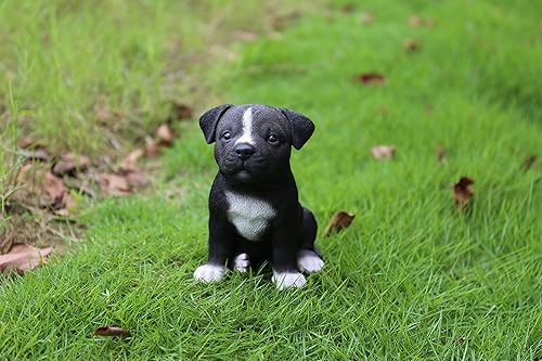 Miniatura 2 de Hi-Line Gift Ltd Estatua de cachorro de pitbull de Staffordshire sentado