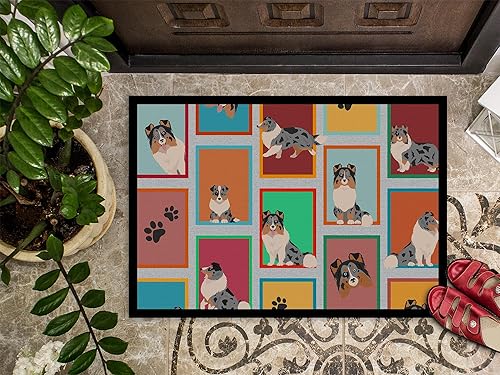 Vista 238 de Caroline's Treasures MLM1087MAT - Felpudo de perro de montaña bernés de 18 x 27 pulgadas, para interiores y exteriores, para entrada, Bernese