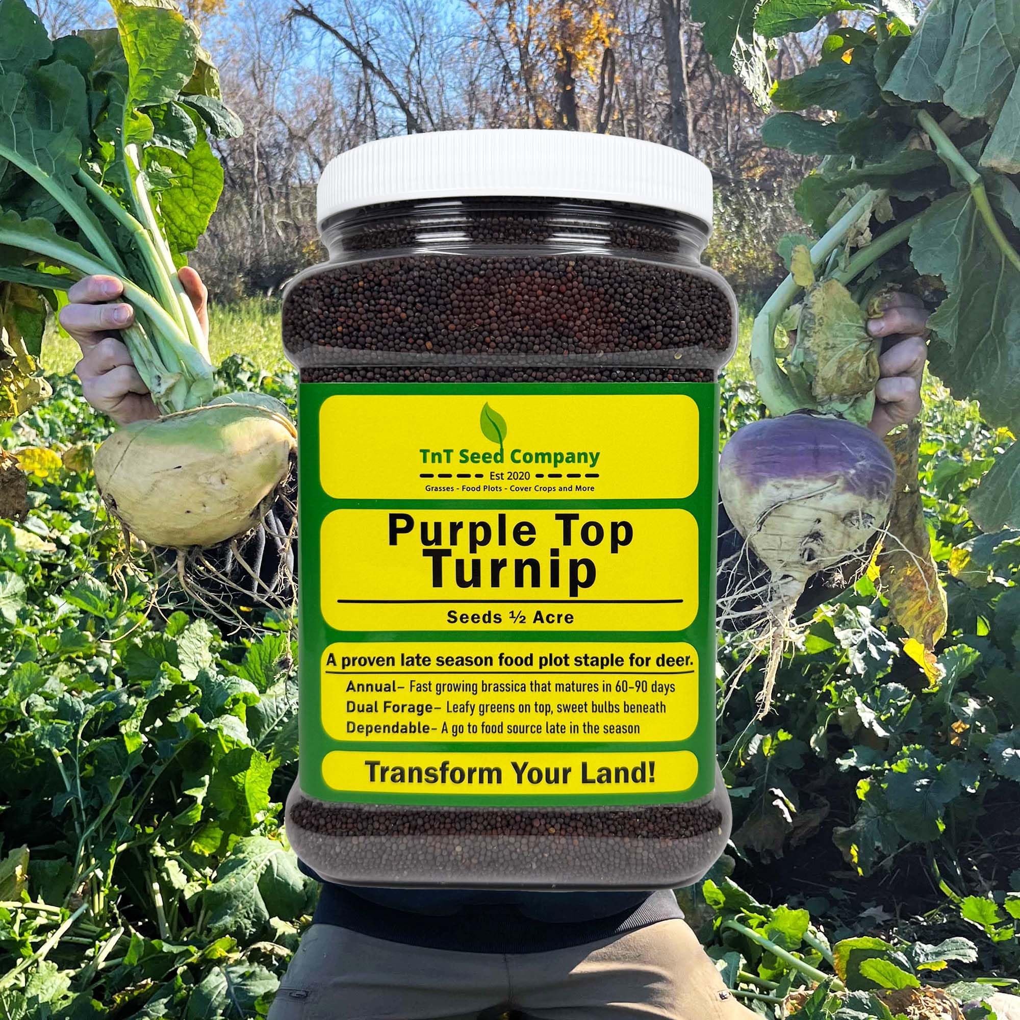 Purple Top Turnip Food Plot Seed for Planting - High Protein Brassica Deer Forage, Fast Growing Fall Annual Food Plot Seed, Plants Up to 1/2 Acre - 3 lb Jug