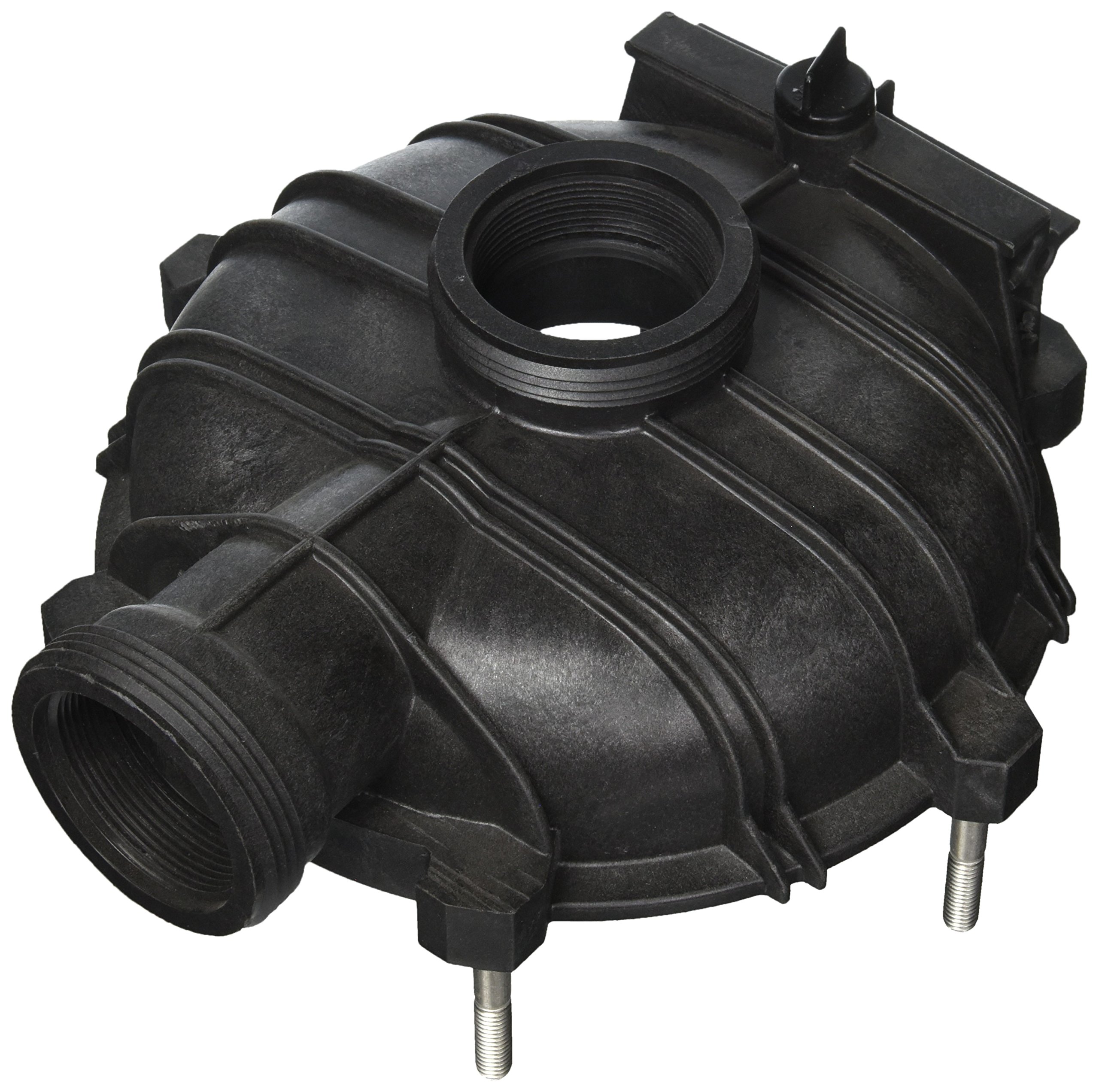 Amazon.com: Pentair 17303-0001 Pump Body Replacement Sta-Rite Dyna 