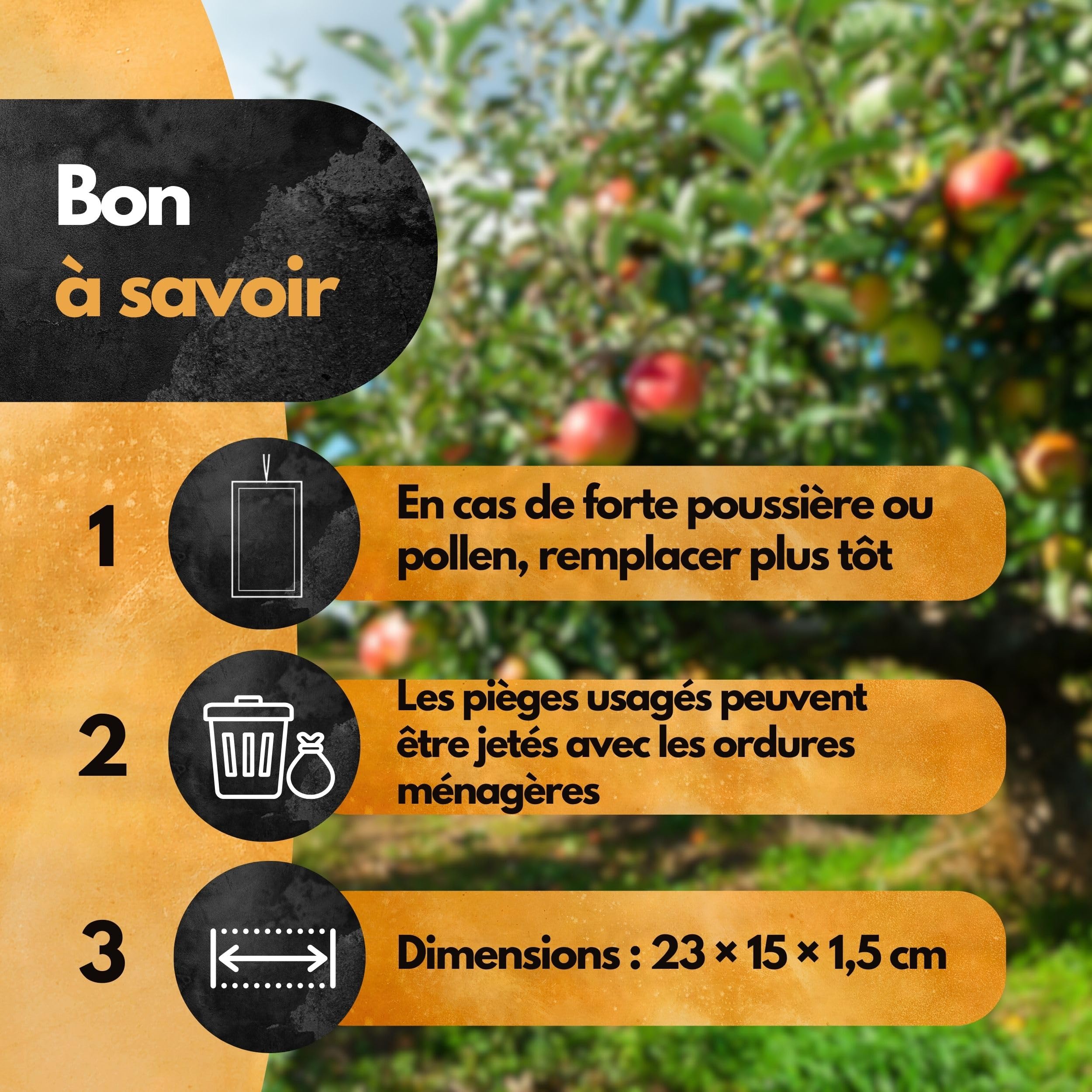 SCHÄDLINGSMEISTER® Lot de 3 pièges à carpocapse de pomme, avec ficelle, piège à phéromones pour lutter contre le carpocapse du pommier, lutte contre le carpocapse du pommier, lutte contre les