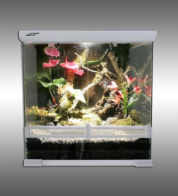 Foto 5 de 5 de Lucky Reptile Super Rain Nano SRN-1 Beregnungsanlage para Rana