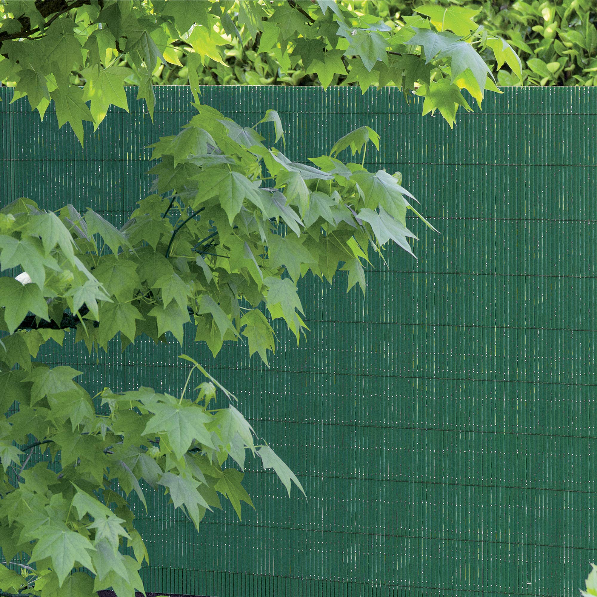 TENAX Colorado 1,00 x 5 m Vert, Canisse Synthétique en PVC avec Cannes Entières de 7 mm, Brise-Vue pour Jardins, Balcons et Clôtures