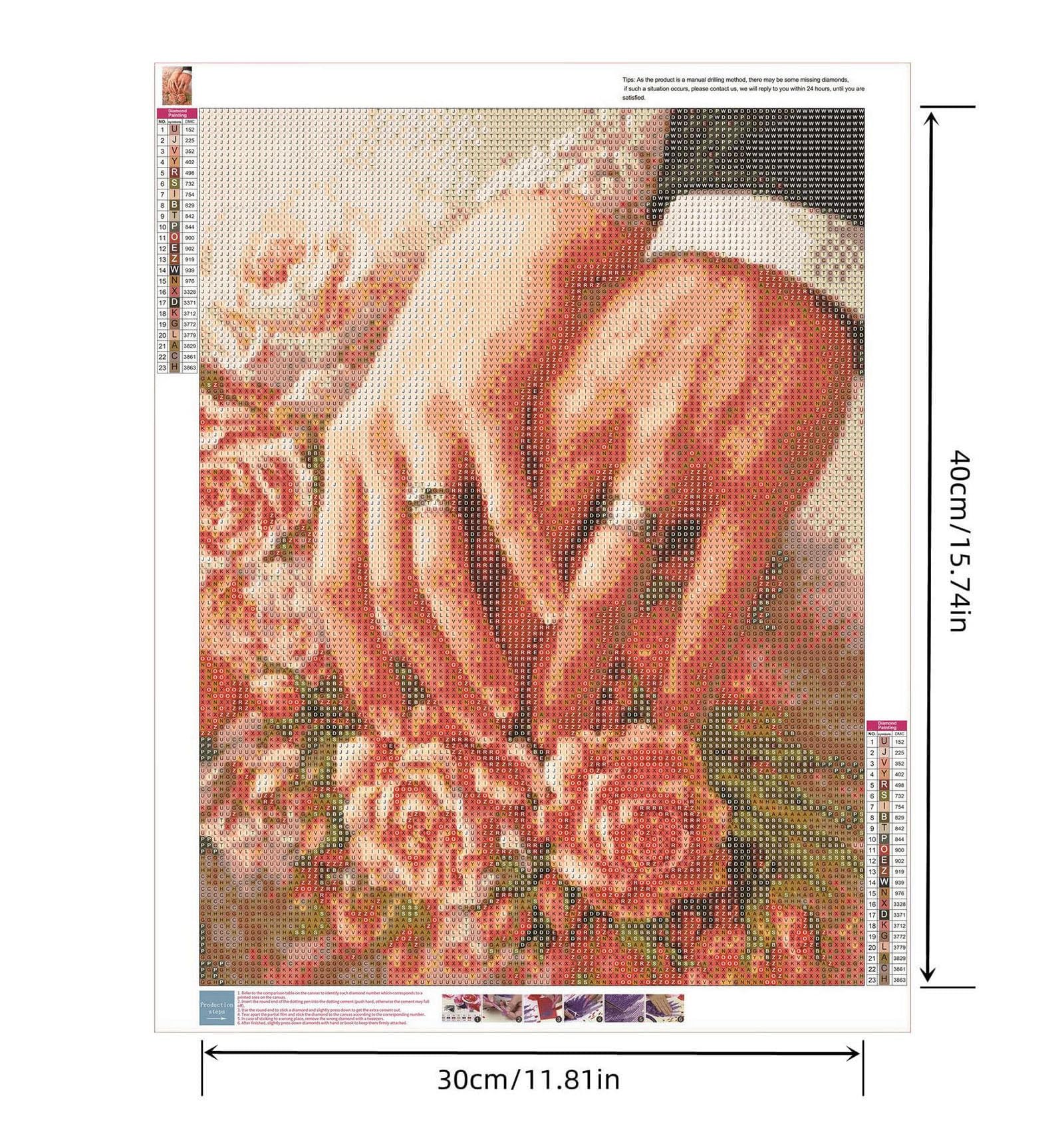 5D DIY Diamond Painting Flower Cross Stitch Kit Mosaico Diamante Ricamo Rosa Pieno Trapano Quadrato Decorazione Domestica 3171, Pieno Rotondo 20X30cm