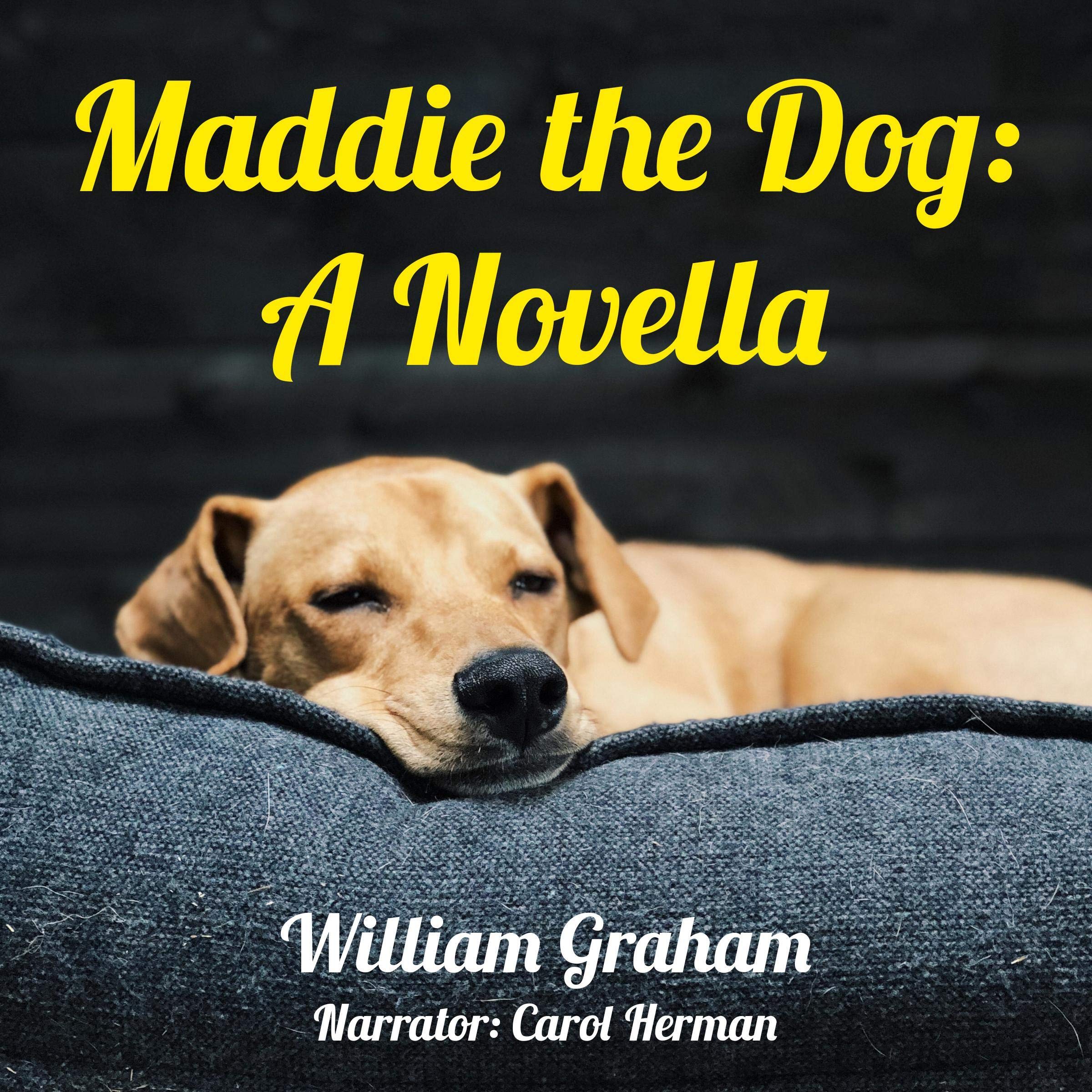 Cover art for Maddie the Dog