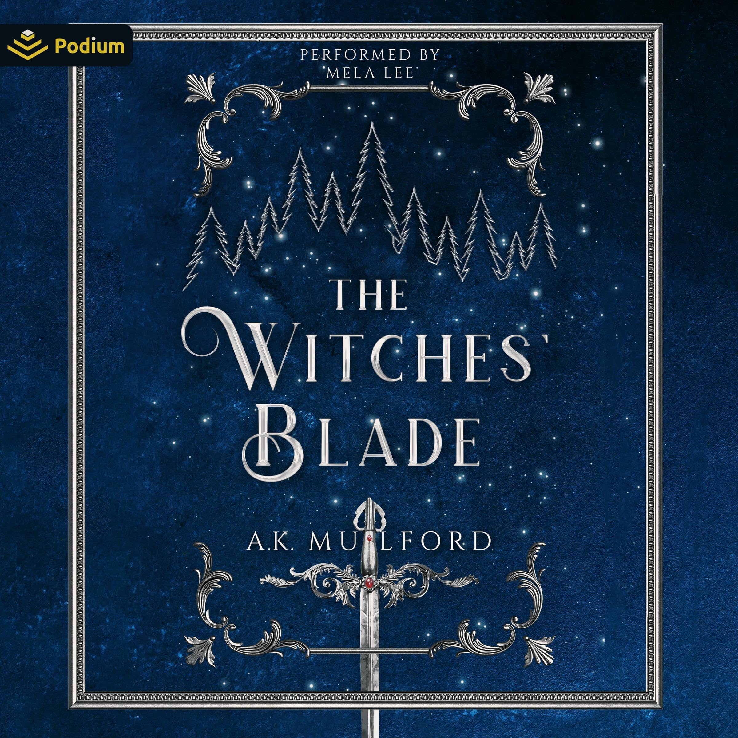 Cover art for The Witches' Blade
