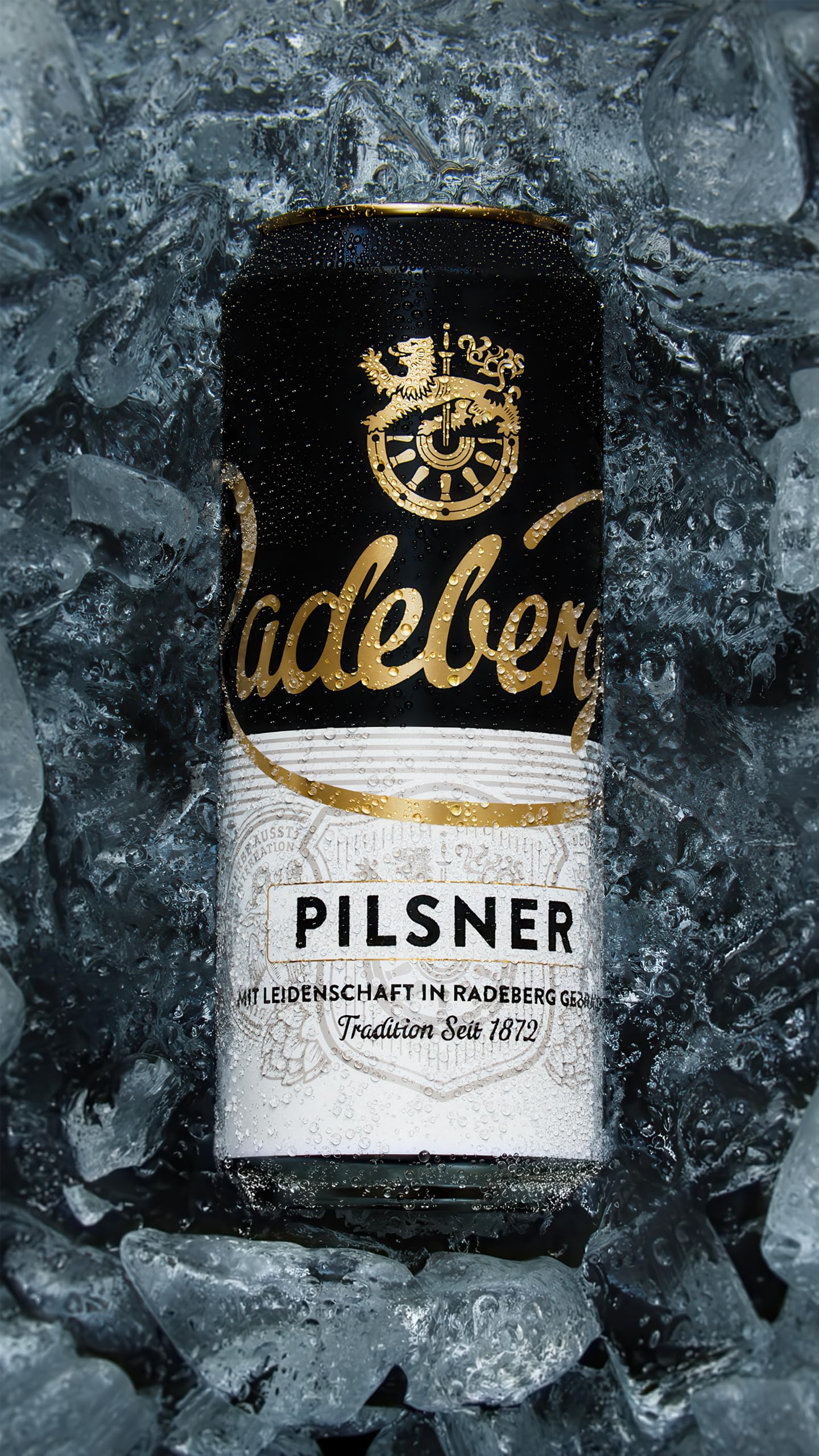 Radeberger Pilsner, EINWEG 24x0,50 L Dose