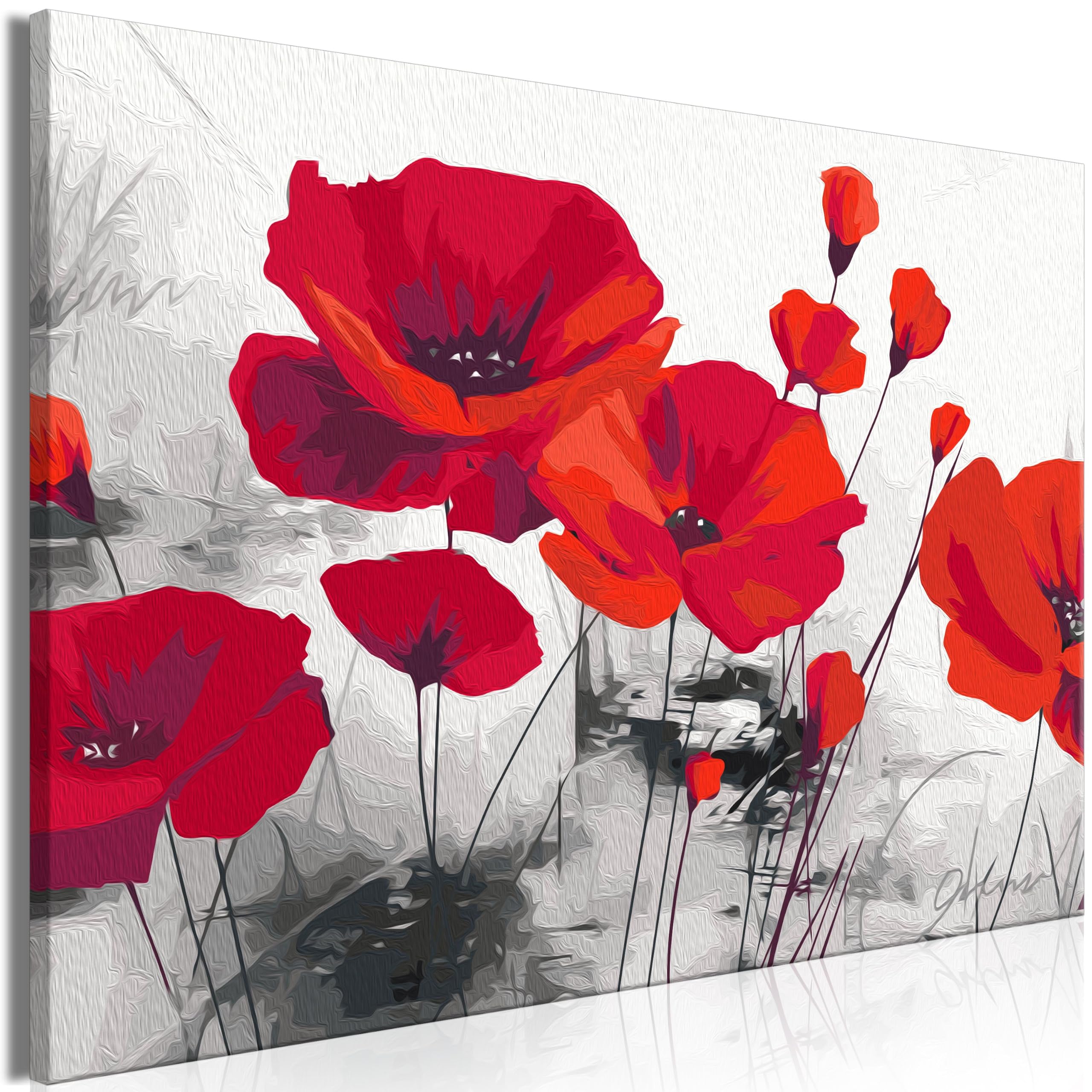 murando - Peinture par Numéros Adulte DIY 50x40 cm - Avec Cadre, Peintures Acryliques et Pinceaux - Tableau à Faire Soi-Même Loisir Créatif - Coquelicots b-A-10405-d-a