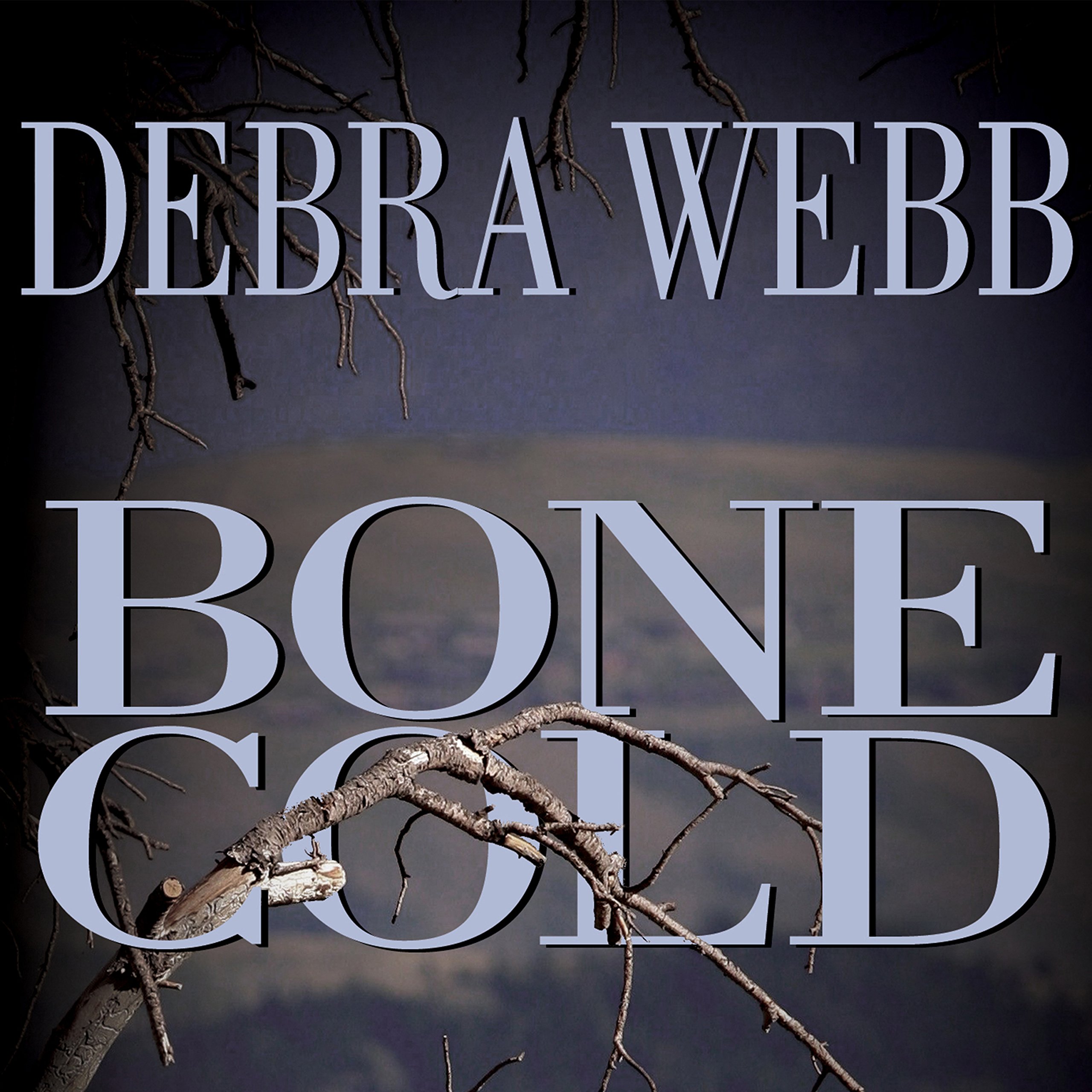 Cover art for Bone Cold