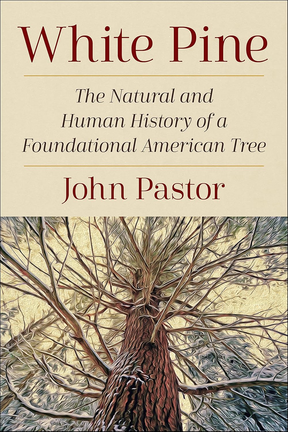 White Pine: The Natural and Human History of a Foundational American Tree      Paperback – January 5, 2023