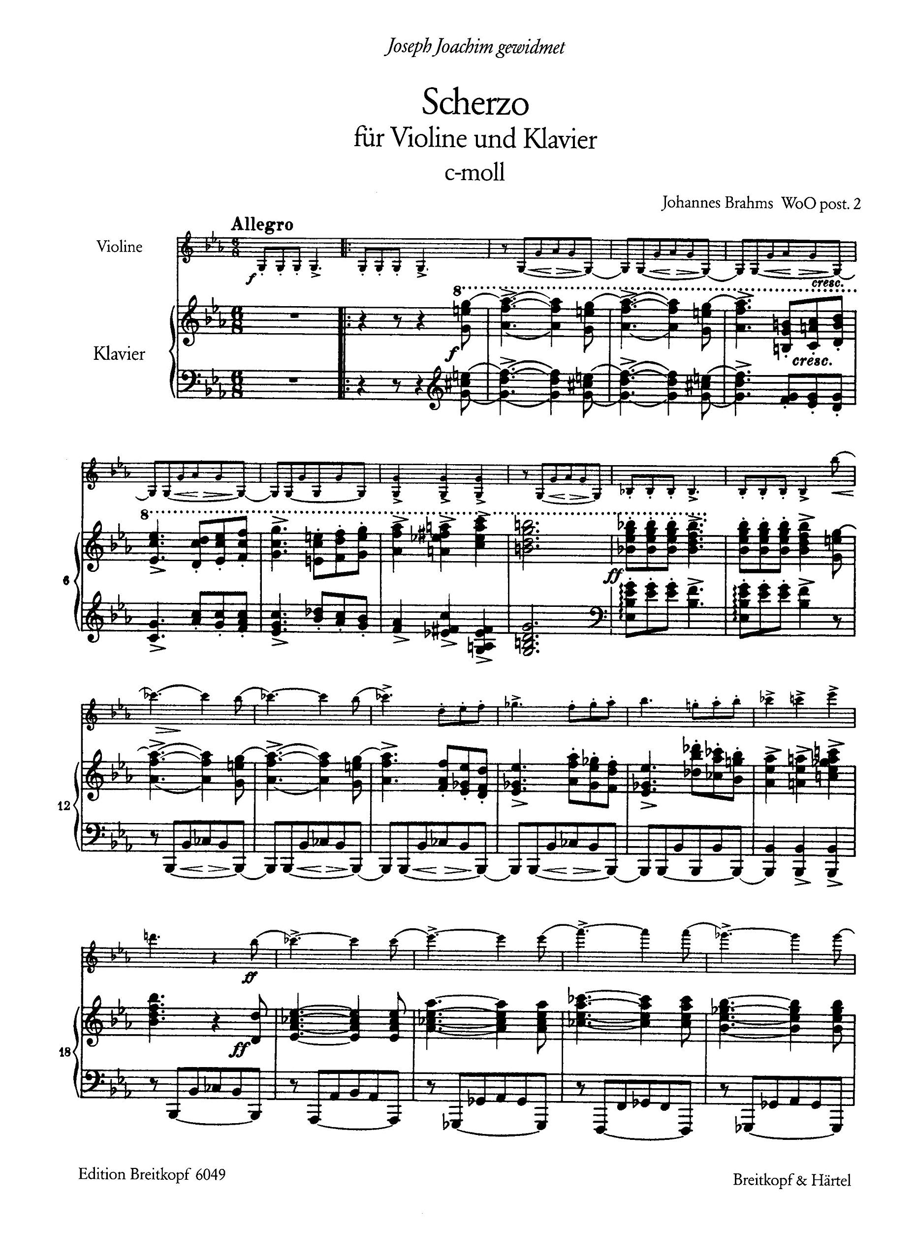 SONATENSATZ C-MOLL OP. POST. VIOLON