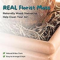 Vista 156 de Good Pet Stuff Kit original de caja de arena oculta y forro reutilizable, maceta redonda cerrada con plantas artificiales, sistema de filtro de olor