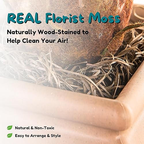 Miniatura 156 de Good Pet Stuff Kit original de caja de arena oculta y forro reutilizable, maceta redonda cerrada con plantas artificiales, sistema de filtro de olor