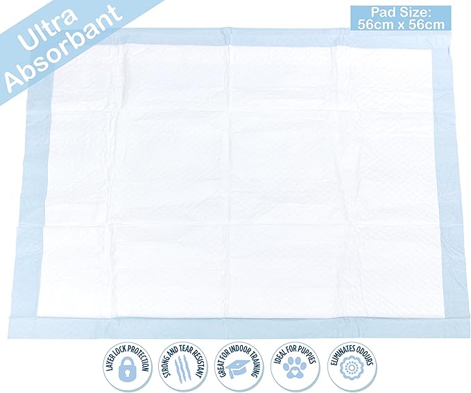 good boy training pads