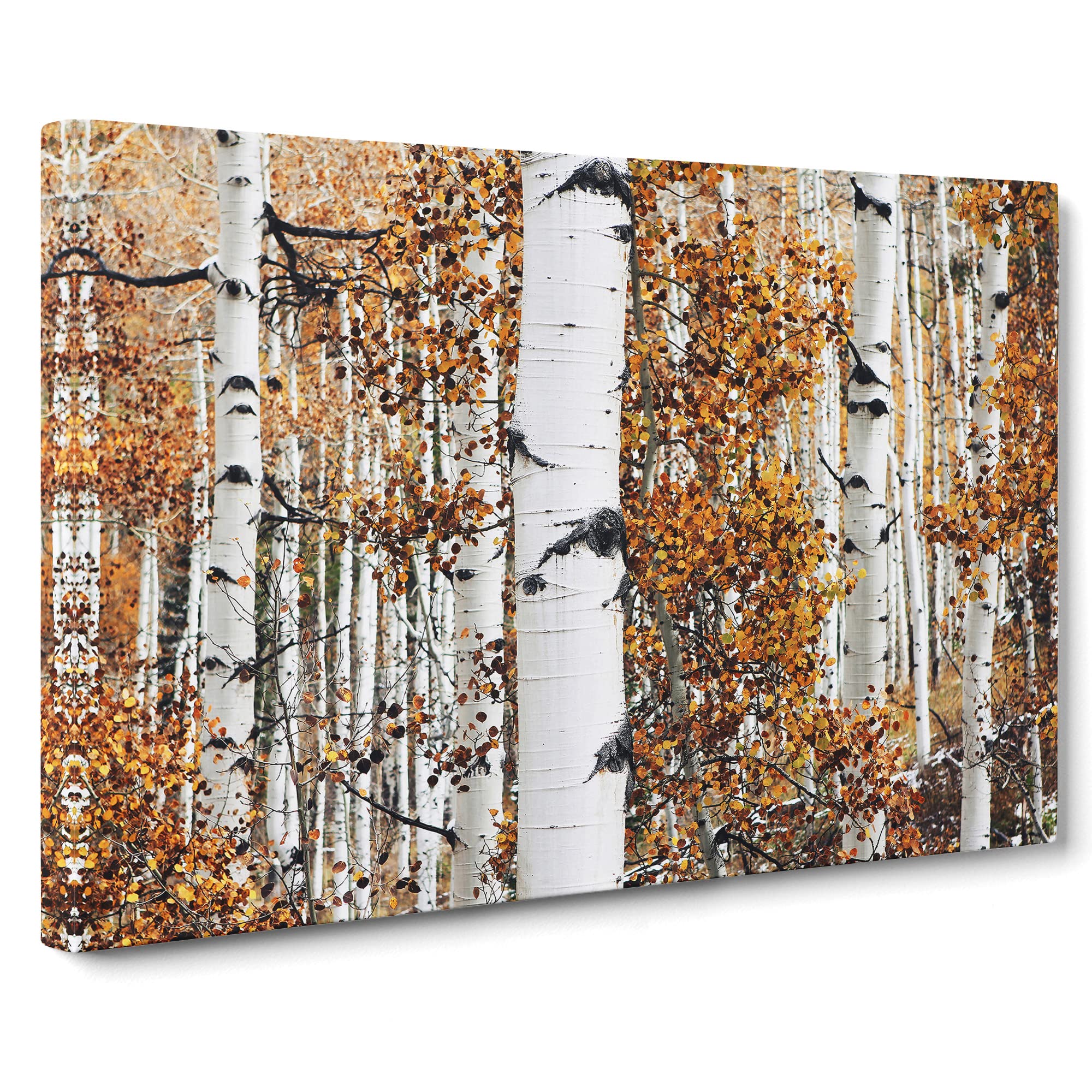 Autumn Landscape Aspen Forest Wood Canvas Print, Mixed, 25L x 50W cm