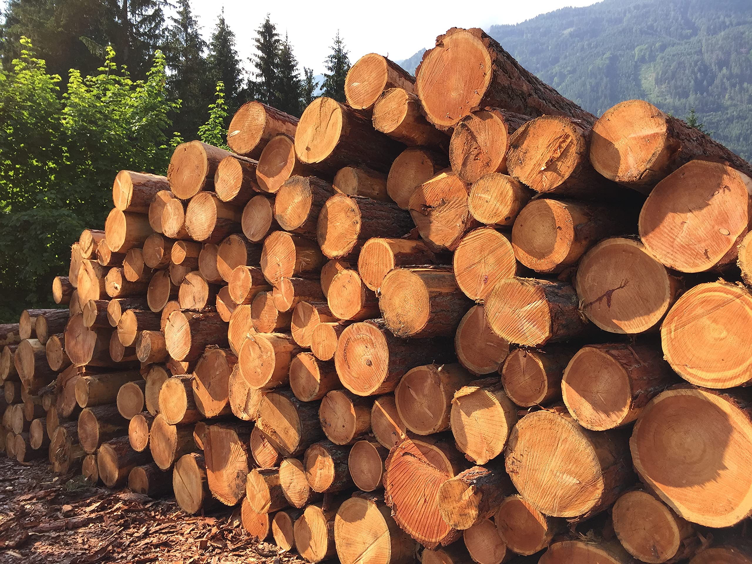 Castelmerlino 15 Pedana per Doccia in Legno di Larice cm 55 x 69 per Piatti Doccia 70 x 90