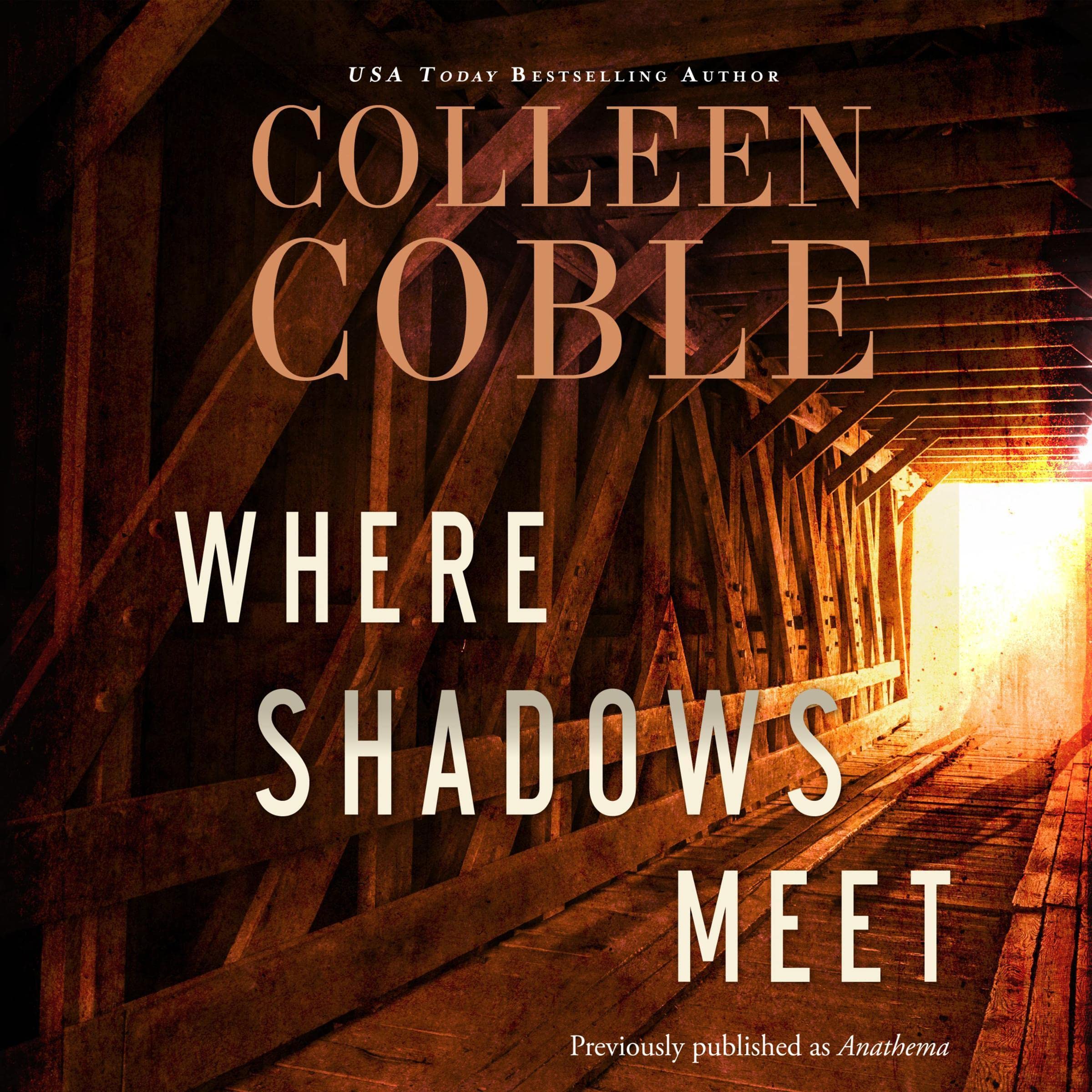 Cover art for Where Shadows Meet