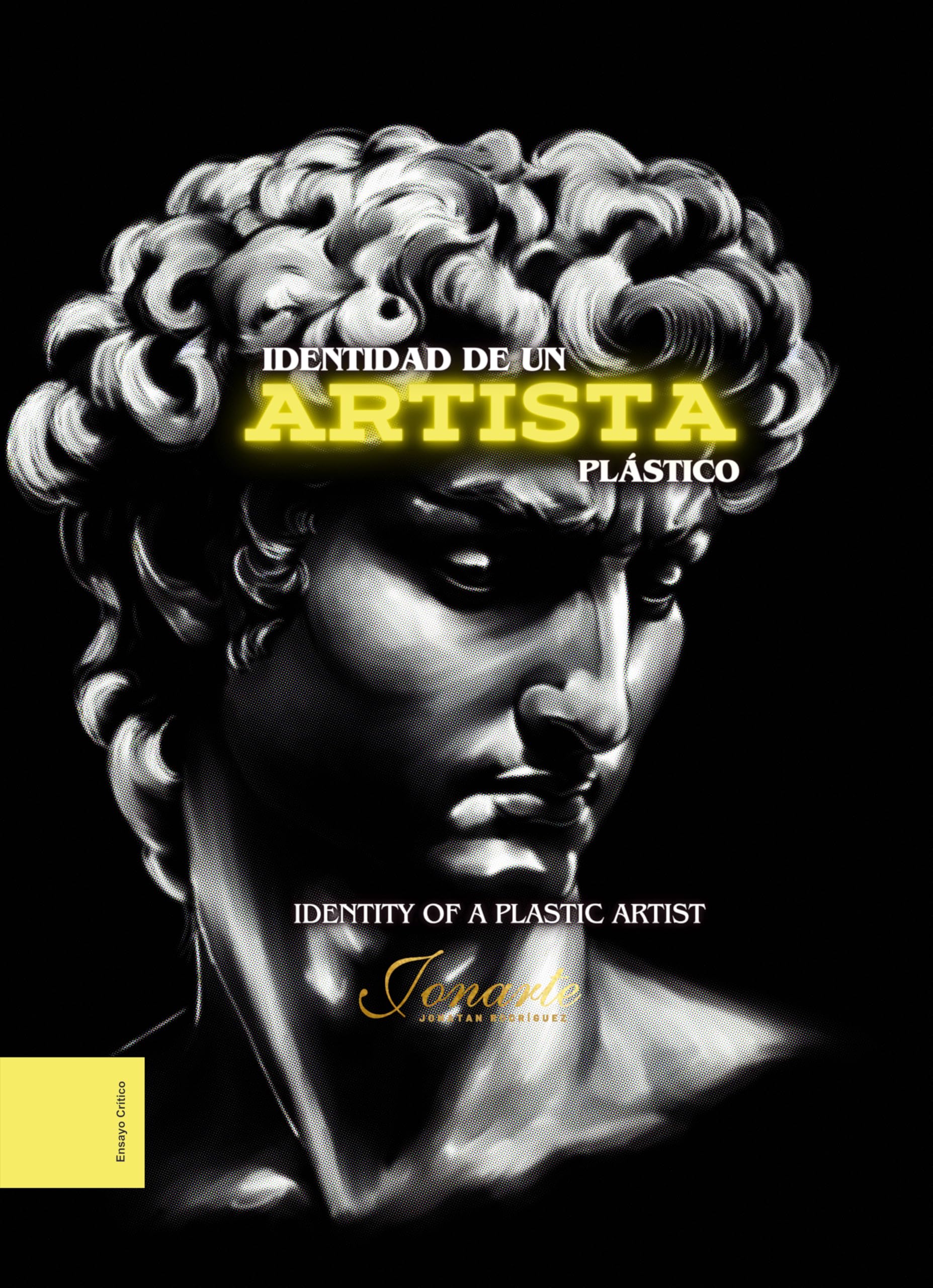 Livre Identity of a Plastic Artist espagnol pour apprendre art plastique