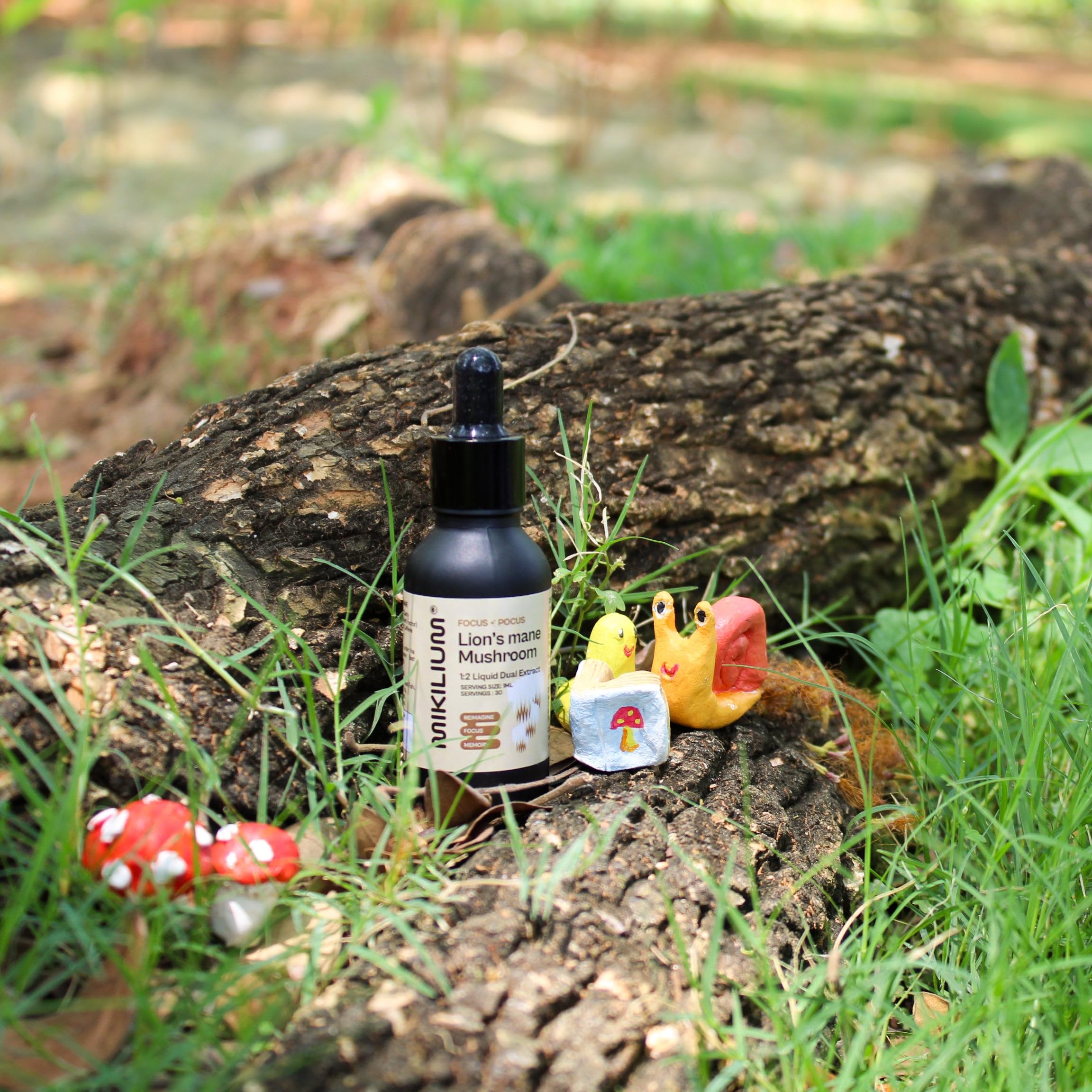 Focus-Pocus | Lion's mane Mushroom 1:2 Liquid Dual Extract | 30ml, 30 servings | Fruiting Body | Reimagine, Focus, Memory — Amazon image 10