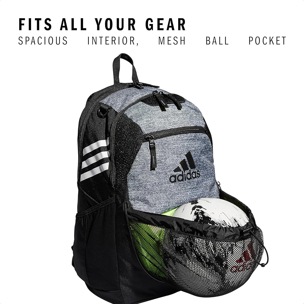 Amazon.com: Stadium Team Sports Backpack for men and women (36L