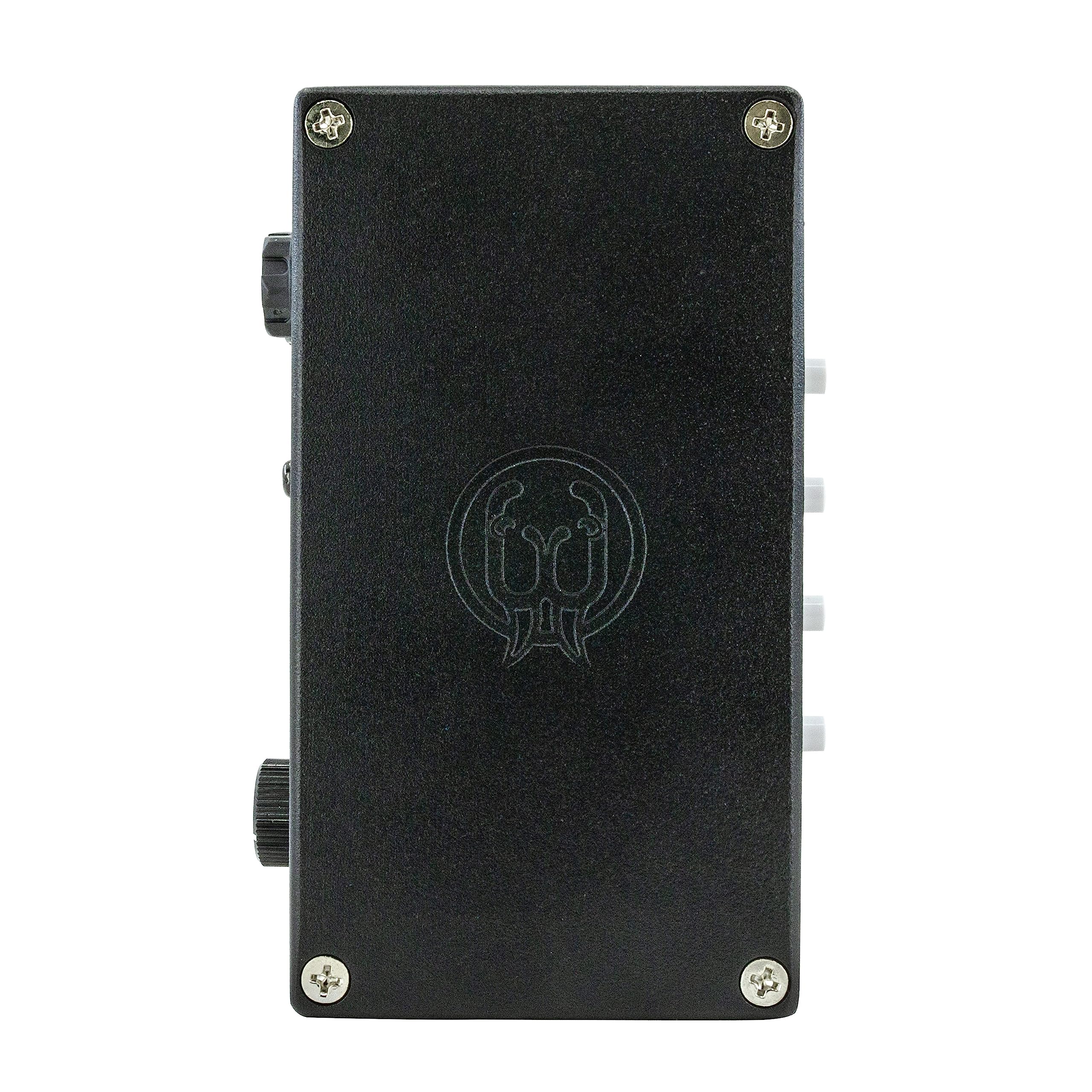 Amazon.com: Walrus Audio Canvas Re-Amp : Musical Instruments