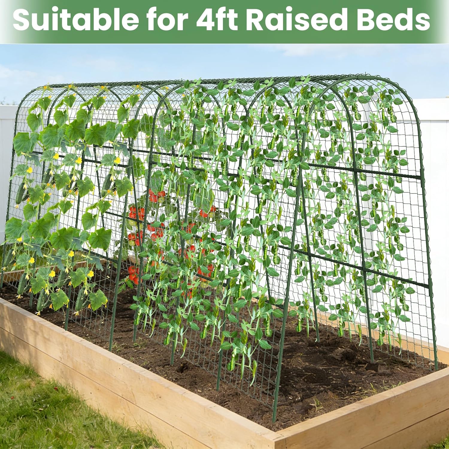 Cucumber Trellis, Metal Garden Arch Trellis for Raised Bed, 48 x 48inch U-Shape Garden Trellis for Climbing Plants Outdoor, Vegetables Fruit Plant Support with Netting, Gardening Supplies (Green)