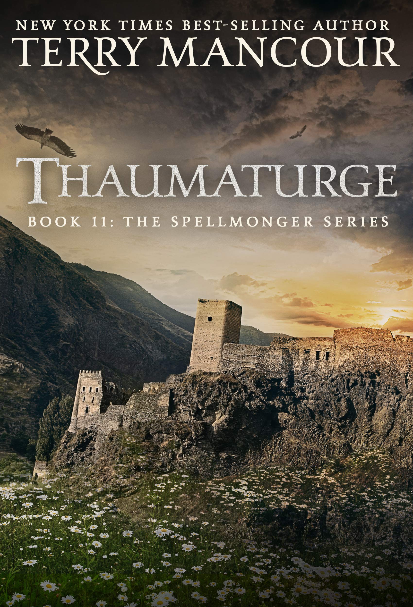 Thaumaturge: Book Eleven of the Spellmonger Series