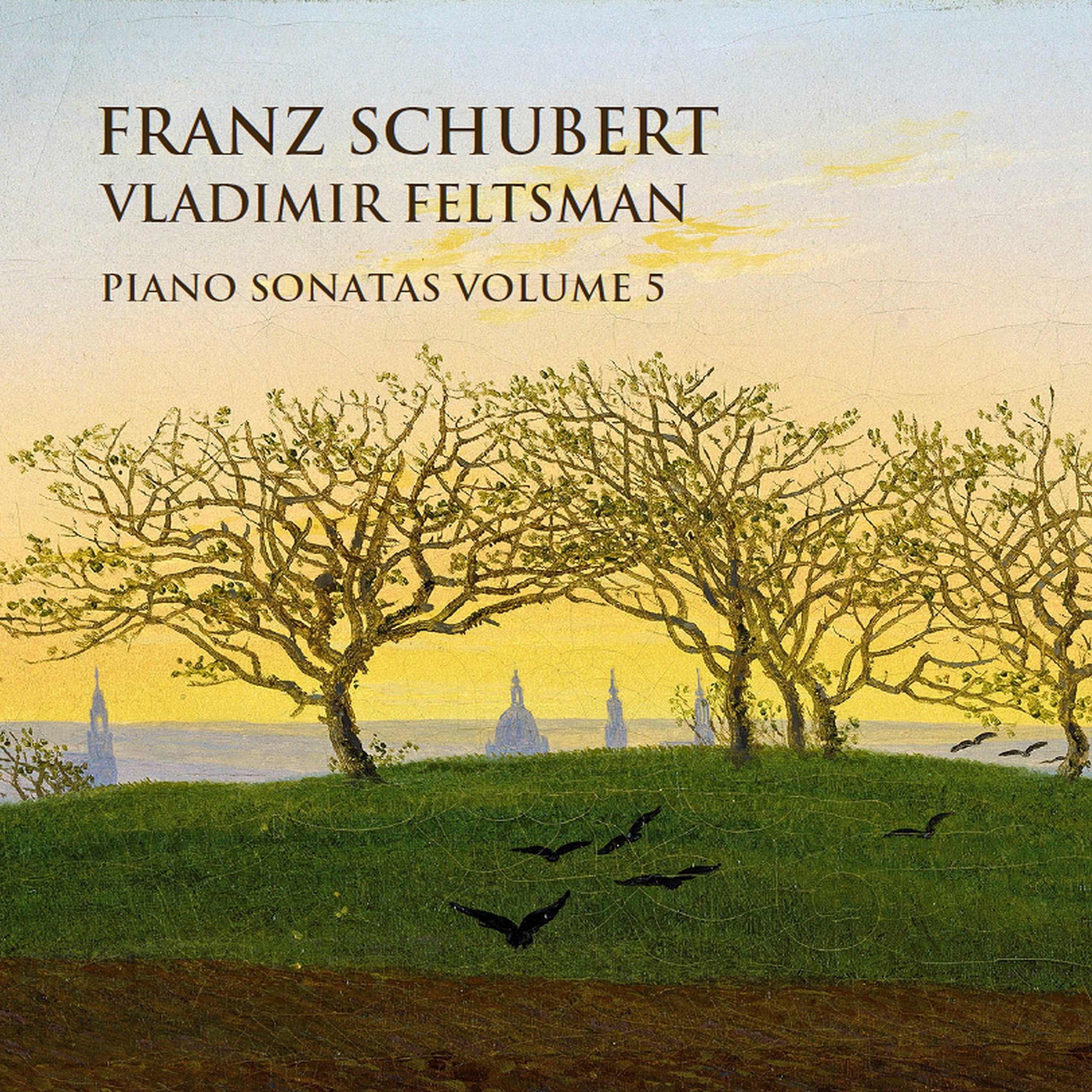 Franz Schubert: Piano Sonatas Vol. 5