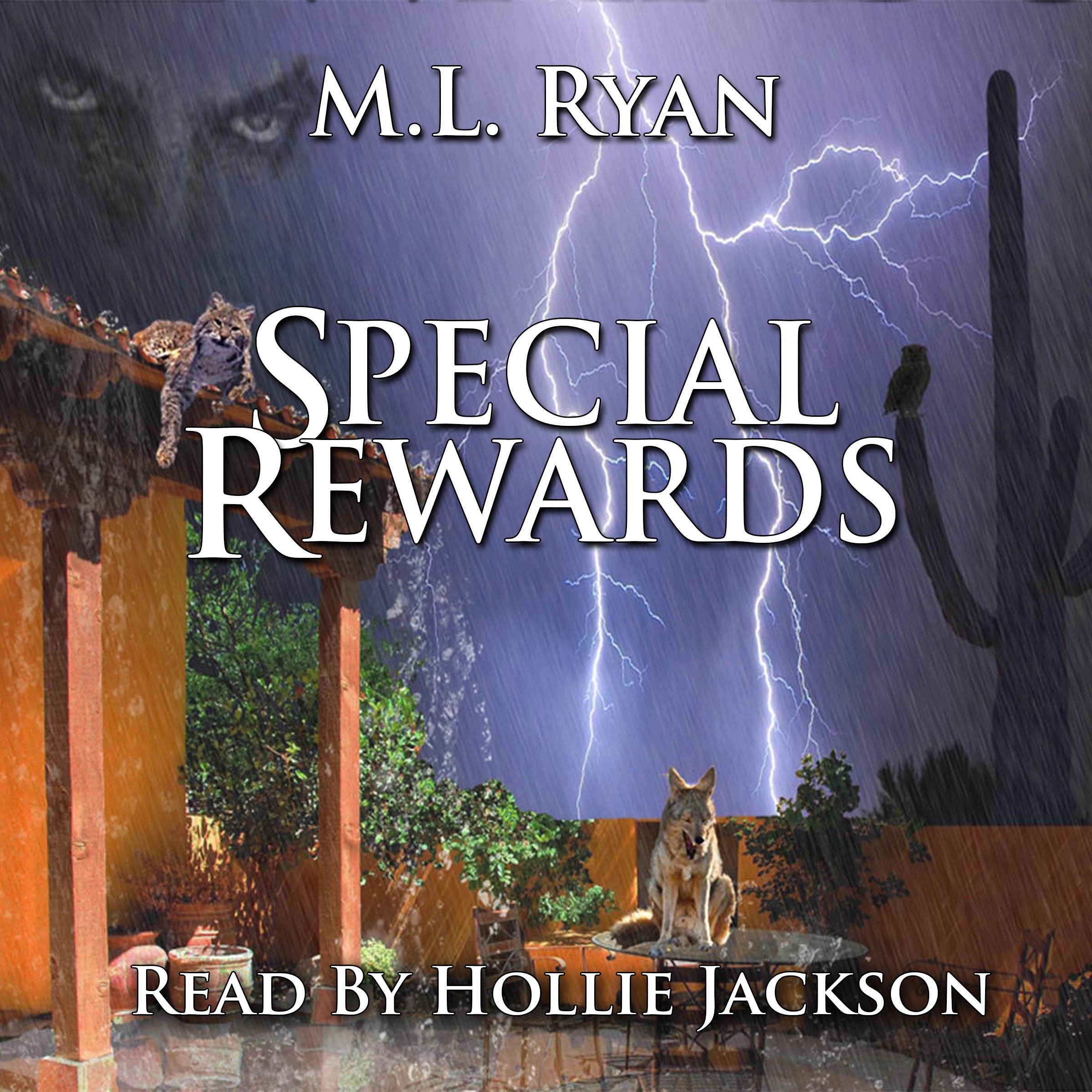 Cover art for Special Rewards