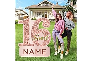 Premium 27.5" Sweet 16 Yard Signs with Stakes