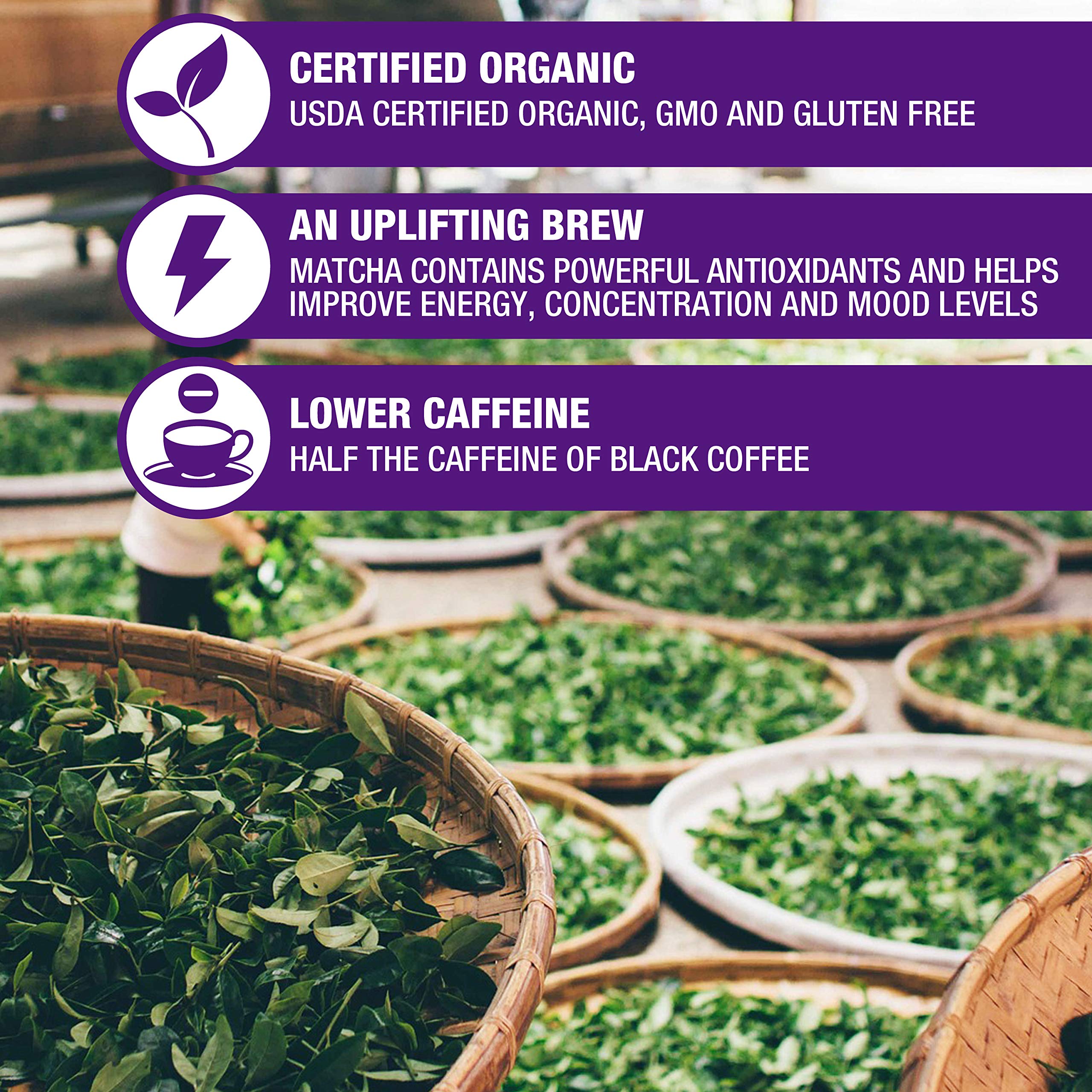 Tipson Organic Matcha Green Tea - Blueberry Flavor - 25 Foil Enveloped Double Chambered Bags - Keto Paleo — view 3