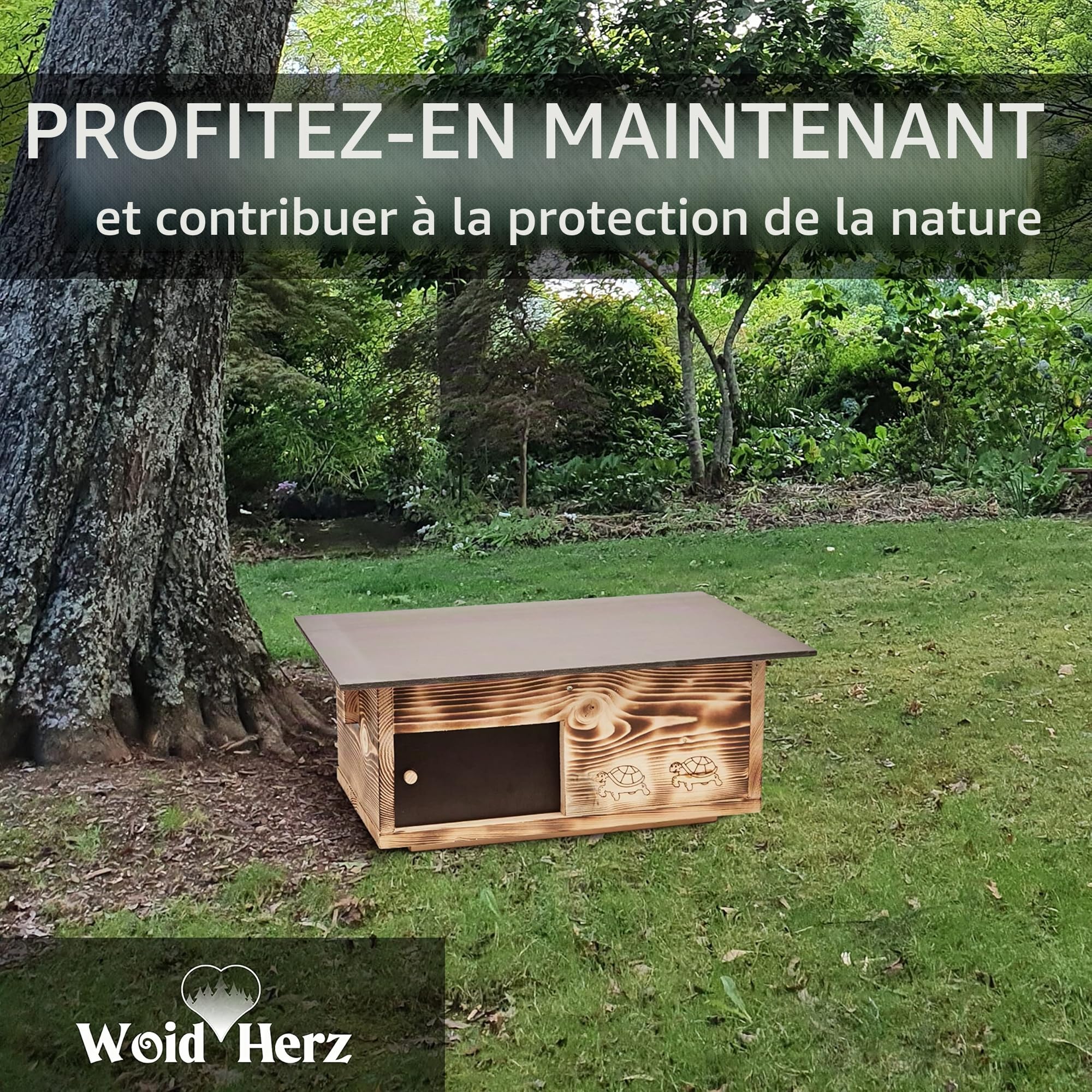 Maison de Tortue de qualité supérieure en Bois Massif (SH4) de 20 mm - Résistant aux intempéries avec Sol et Porte coulissante - Ventilation réglable - Maison pour Tortue