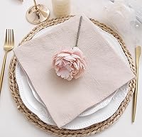 Vista 5 de Servilletas de tela de cena, 100% algodón suave, 12 piezas, 16'x16', champán