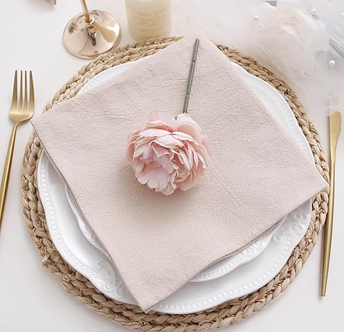 Miniatura 5 de Servilletas de tela de cena, 100% algodón suave, 12 piezas, 16'x16', champán