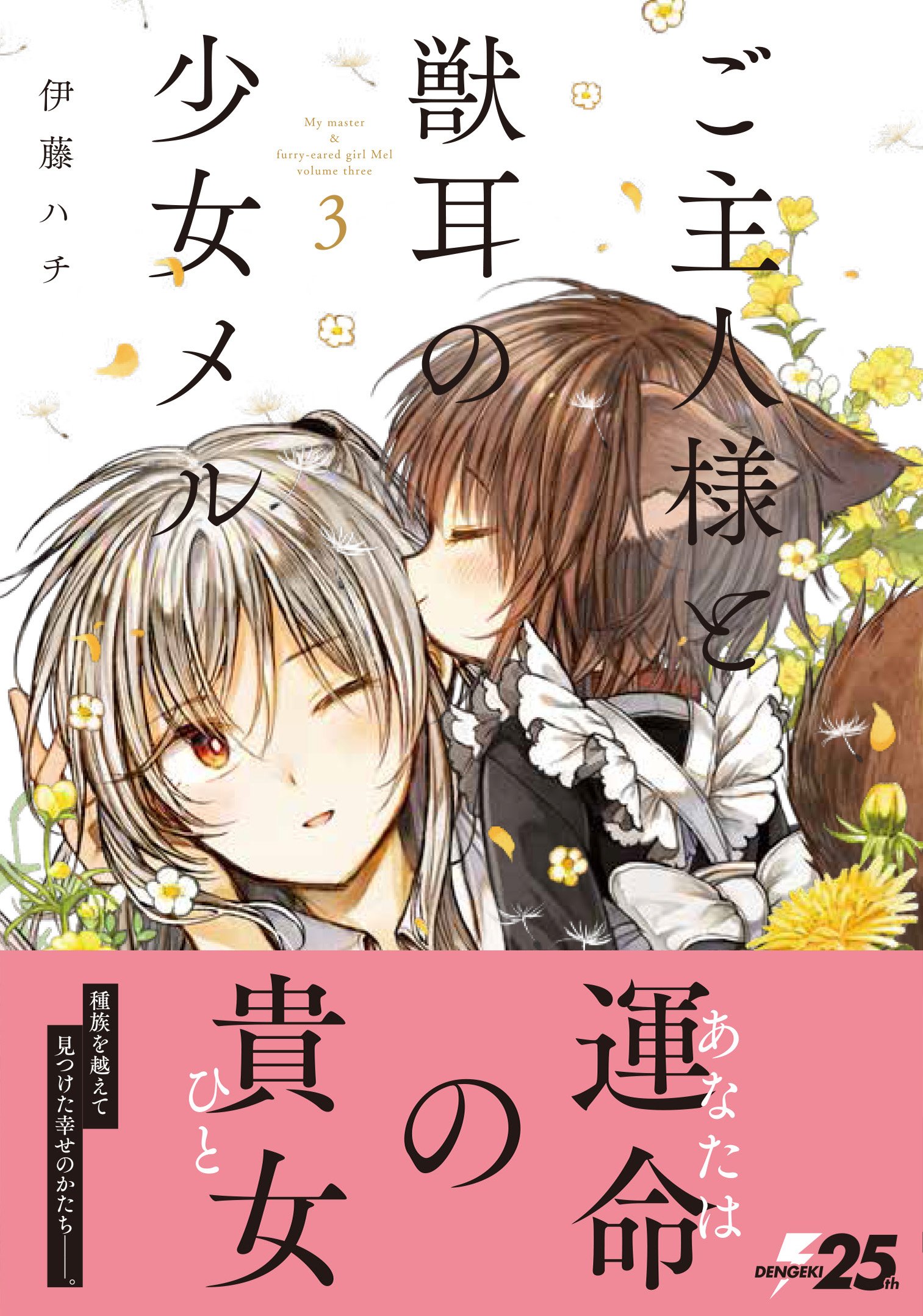 Amazon.com: 伊藤ハチ: books, biography, latest update