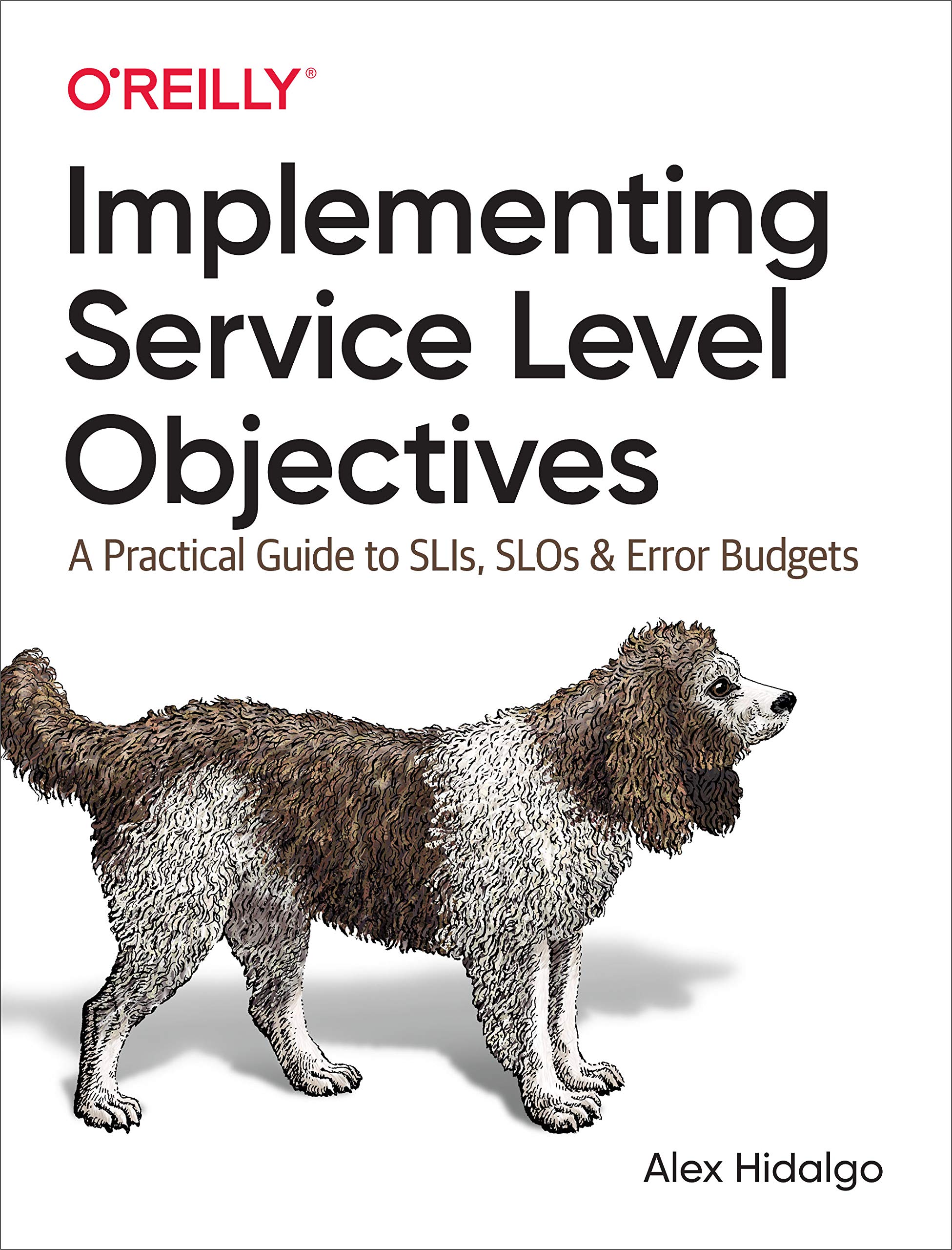 Implementing Service Level Objectives: A Practical Guide to SLIs, SLOs, and Error Budgets Paperback – 30 Sept. 2020