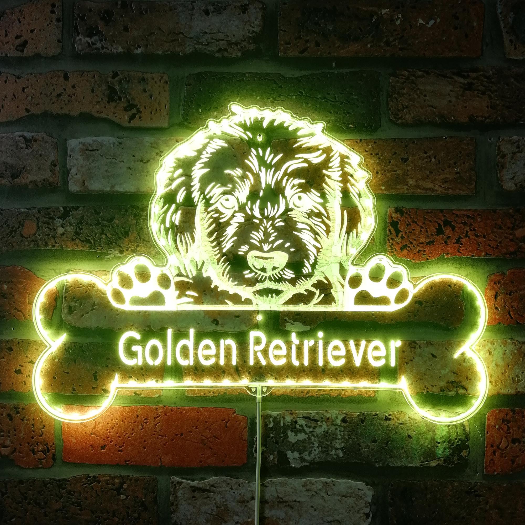 ADVPRO Name Personalize Golden Retriever Dog RGB Dynamic Glam LED Sign - Cut-to-Edge Shape - Smart 3D Wall Decoration - Multicolor Dynamic Lighting - st06s66-fnd-p0073-tm