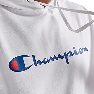 Champion Men's Fleece Script Logo Hoodie (Reg. Or Big & Tall)