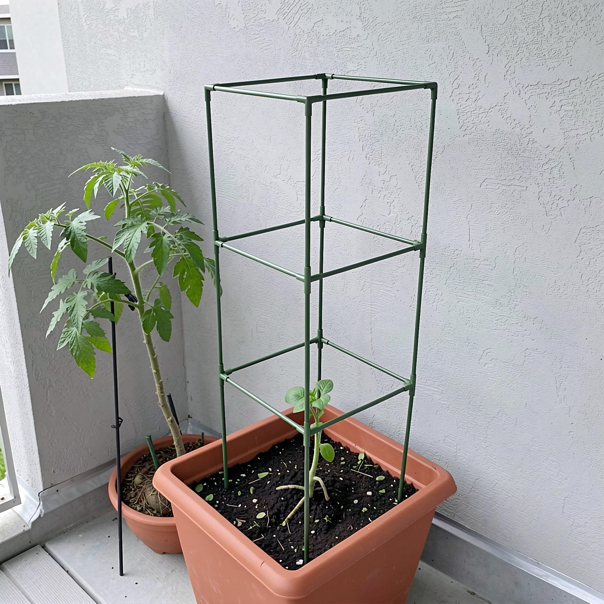 Toddmomy Tuteur à tomates, Cage de 150 cm pour la Croissance des Plants de