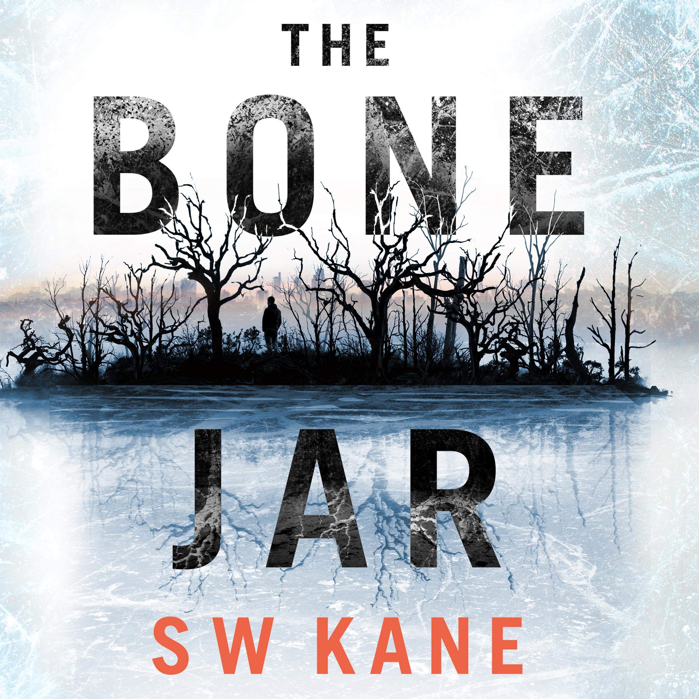 Cover art for The Bone Jar