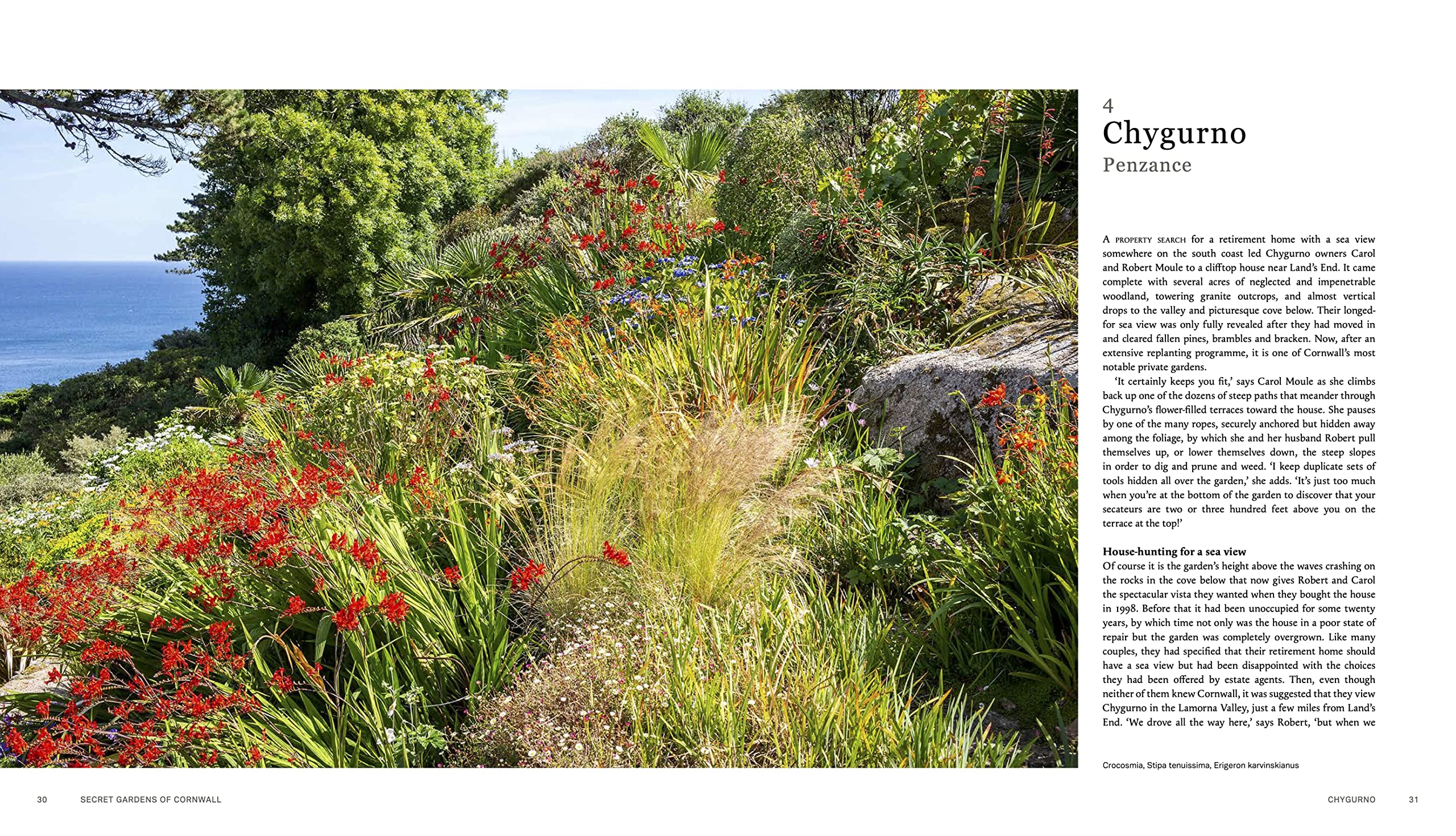 Secret Gardens of Cornwall: A Private Tour - Image 3