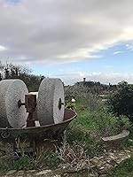 Vista 3 de Vicopisano Aceite de Oliva Virgen Extra Orgánico - Toscana - 16.9 oz (16.9 fl oz)