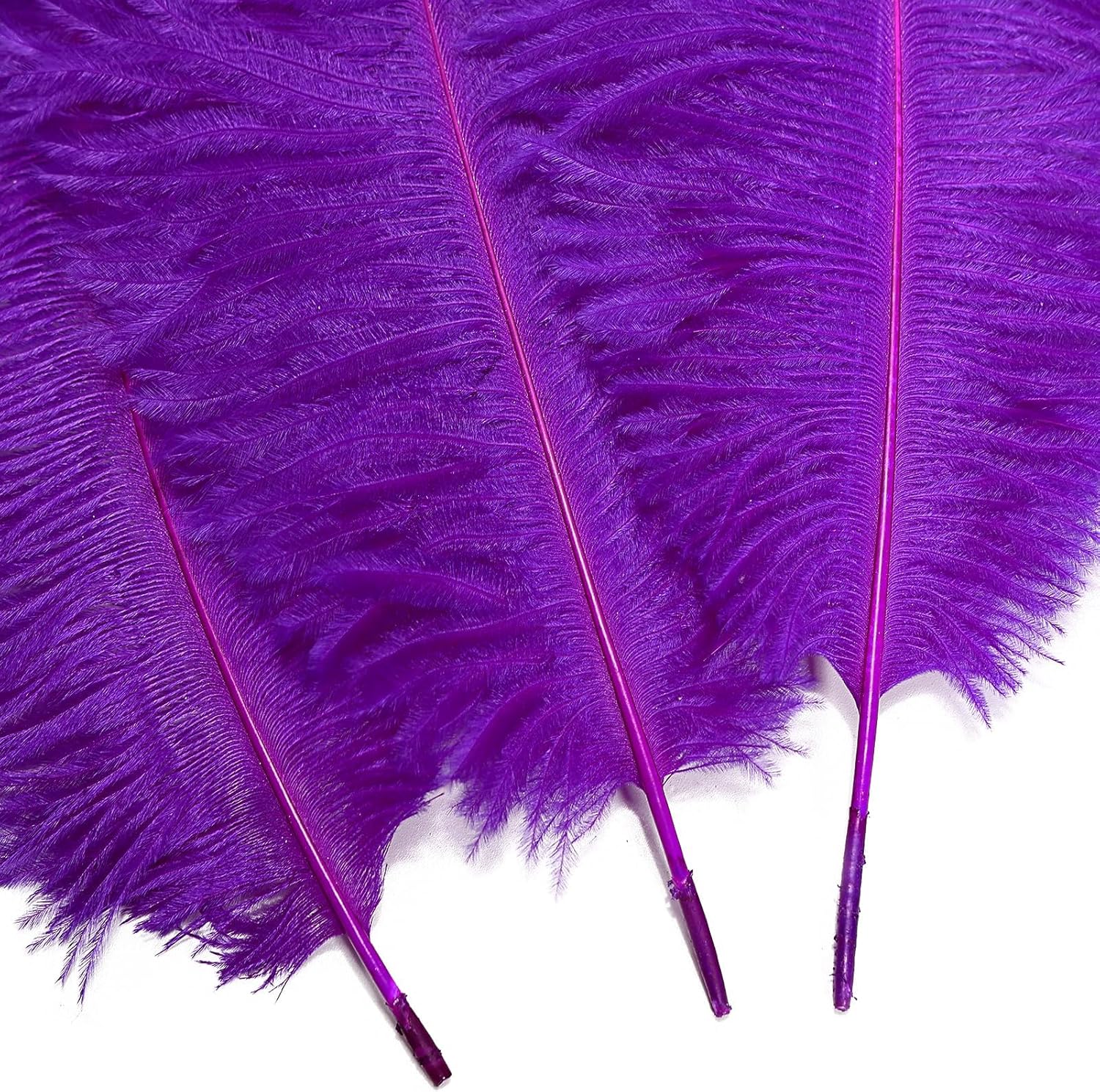 Natural Purple Ostrich Feathers Bulk 60 Pack, 12-14 in, 10-12 in, 8-10 in (20 Pcs Each), for DIY Vase Craft Wedding Party Centerpieces Christmas Decoration