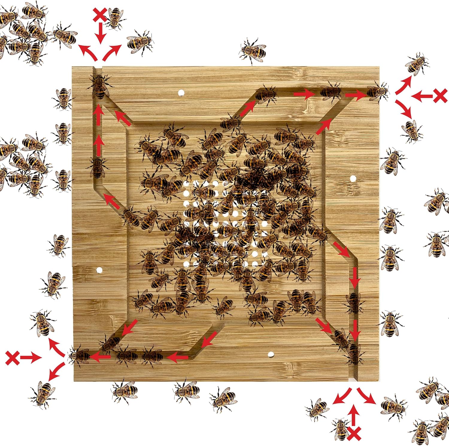 Square Escape Board for Beekeeping Effortless Bee Exit from Honey Super Beekeeping Tool for Honey Production