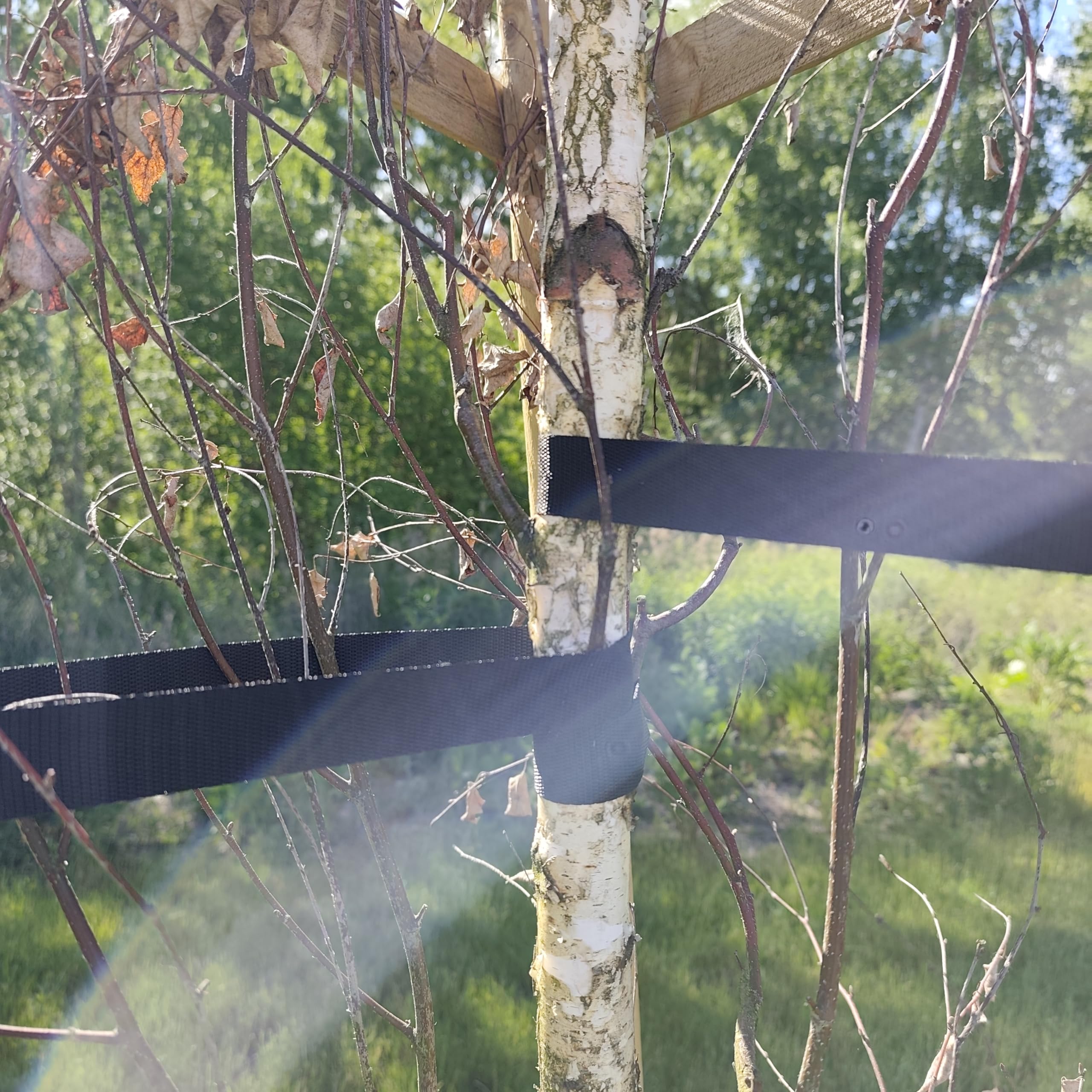 Kit Complet Tuteur Arbre 200 cm ø 6 cm Tuteur Bois avec 3 Piquets 3 Sangles Noires 6 Demi Palissades Support Arbre Fixation Plantes Jardin