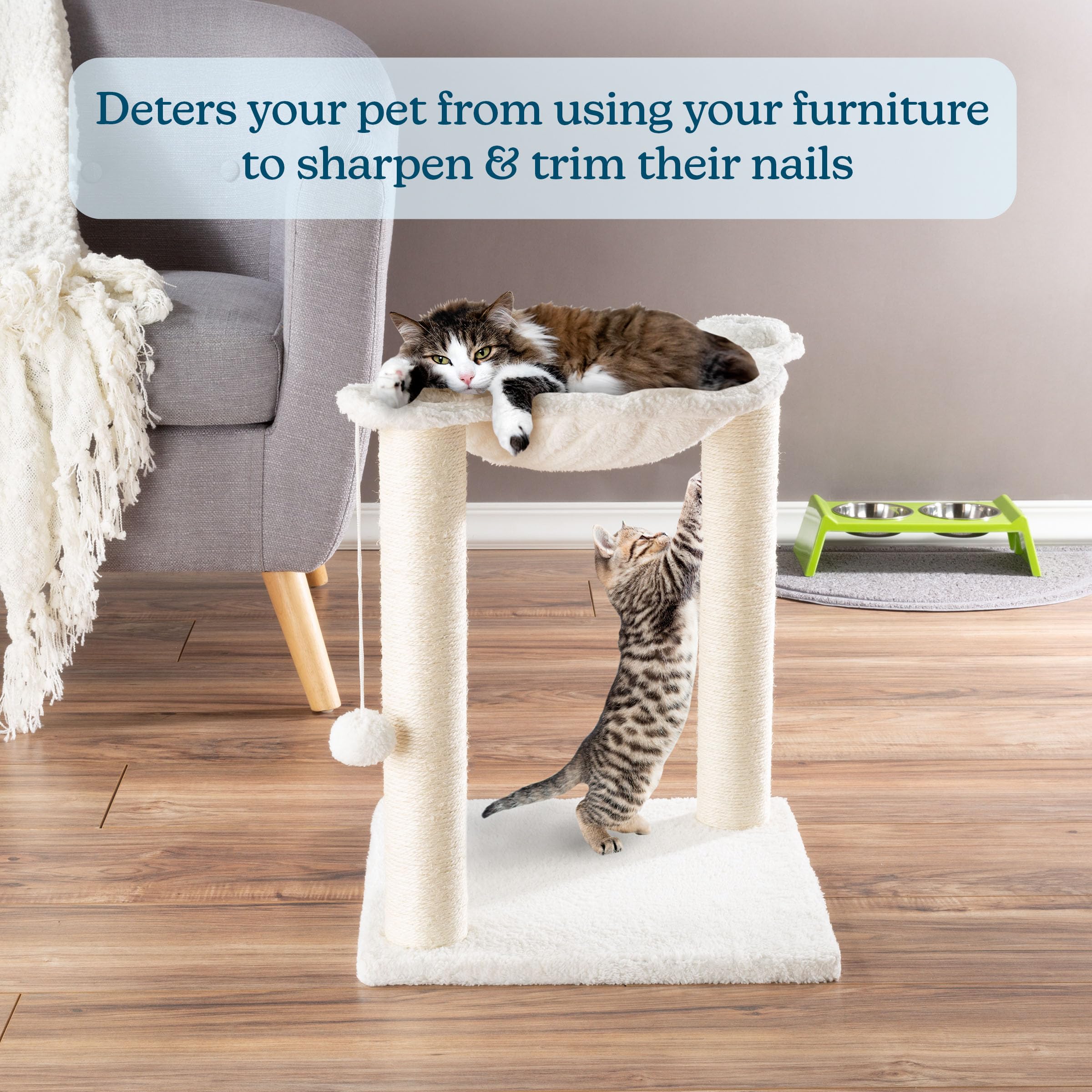 19-Inch Cat Scratching Post with Hammock ? Sisal Fabric and Carpet Small Cat Tree, Hanging Ball Toy for Adult Cats and Kittens by PETMAKER (White) 3