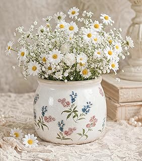 DREAMLOOM Vintage Ceramic Planter for Indoor Plants,6.1